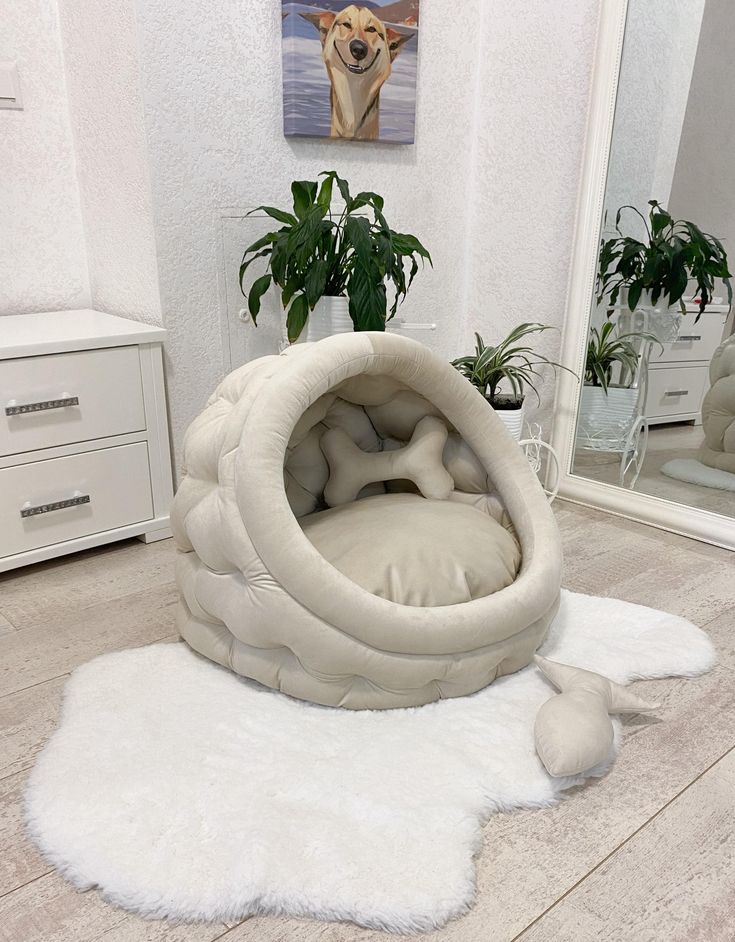 Haven Crystals Indoor Pet House, Where Comfort Meets Care for Your Furry Family - Haven Crystals