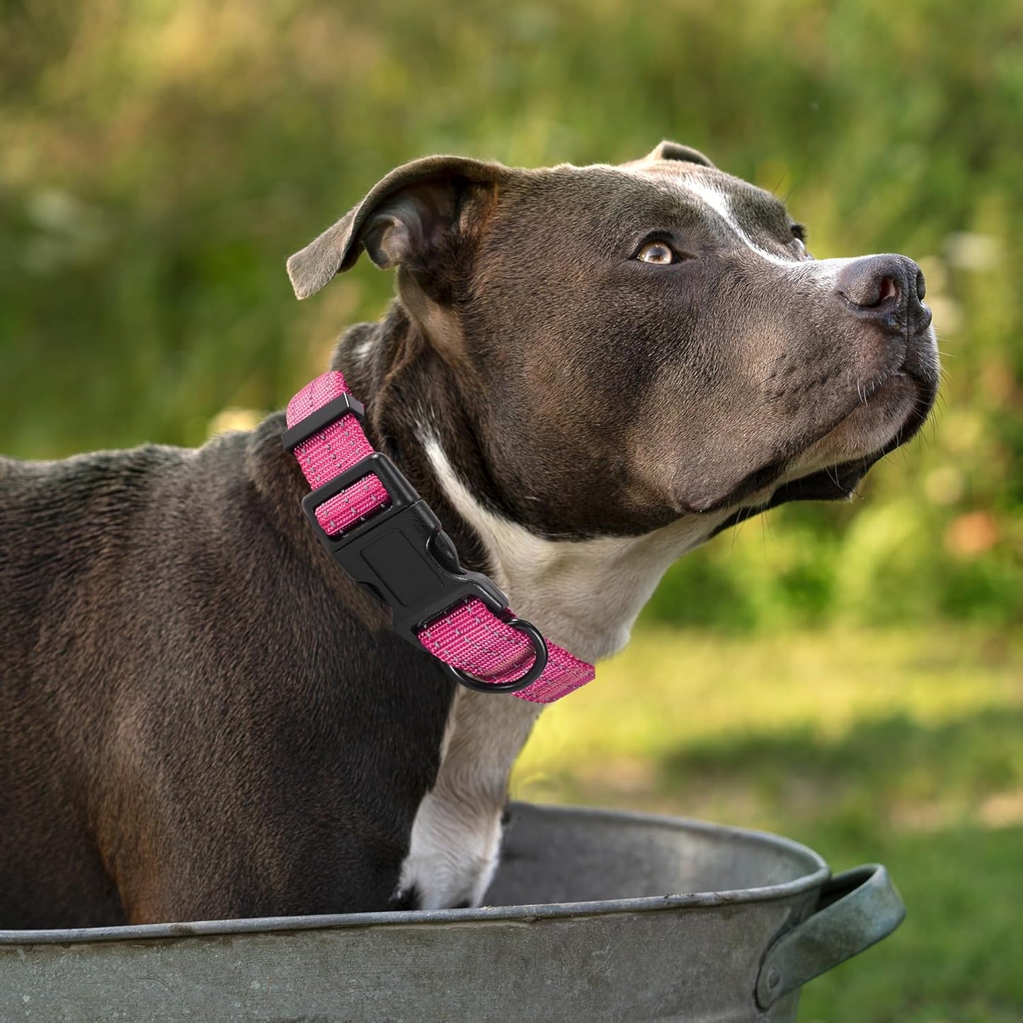 Dog Collar | Nylon Reflective Dog Collars | Light Weight Puppy Collars | Pink Dog Collars for Small Dogs (Solid Pink, X-Small)
