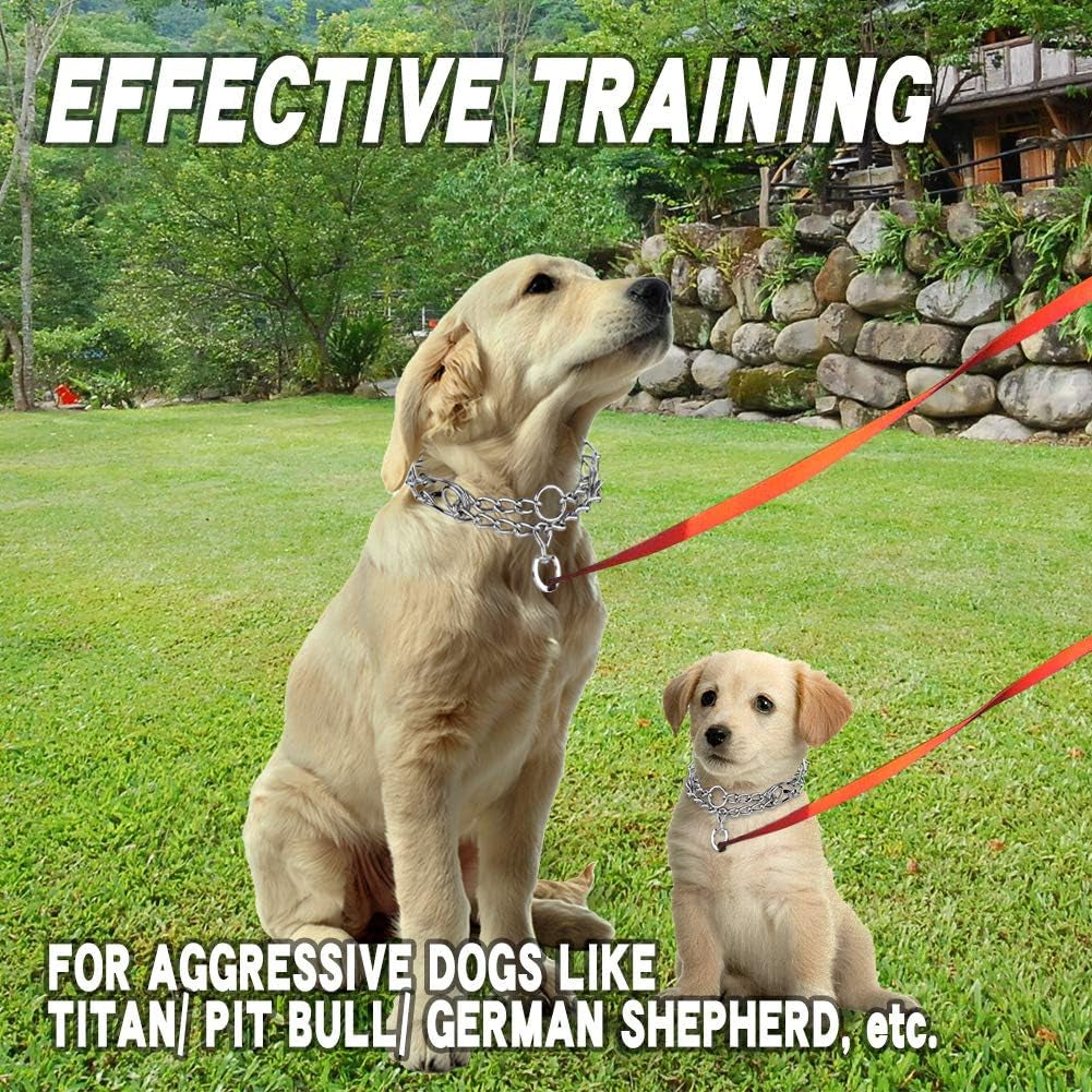 Prong Collars for Dogs, No Pull Dog Collar, Dog Training Collar for Large Medium Small Dogs, Stainless Steel Adjustable with Comfort Rubber Tips (Small, 2.5Mm, 15.6-Inch)