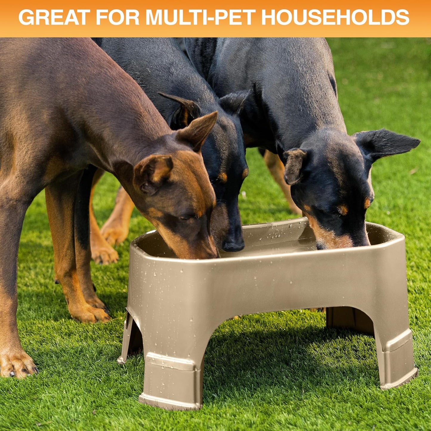 Large Water Bowl for Dogs, Raised Outdoor Dog Water Bowl (1.25 Gallon XL Capacity), Big Trough Style Food Dish for Indoors or Outside, No Spill Large Dog Bowls, Champagne