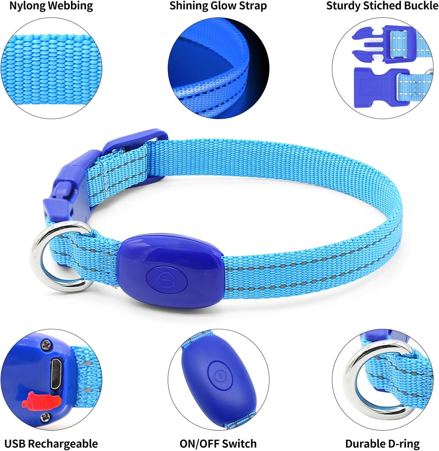 Light up Dog Collar for Small Dogs, Reflective LED Dog Collar Rechargeable Puppy Collar Glowing Cat Collars Safety Dog Lights for Night Walking (Royal Blue)