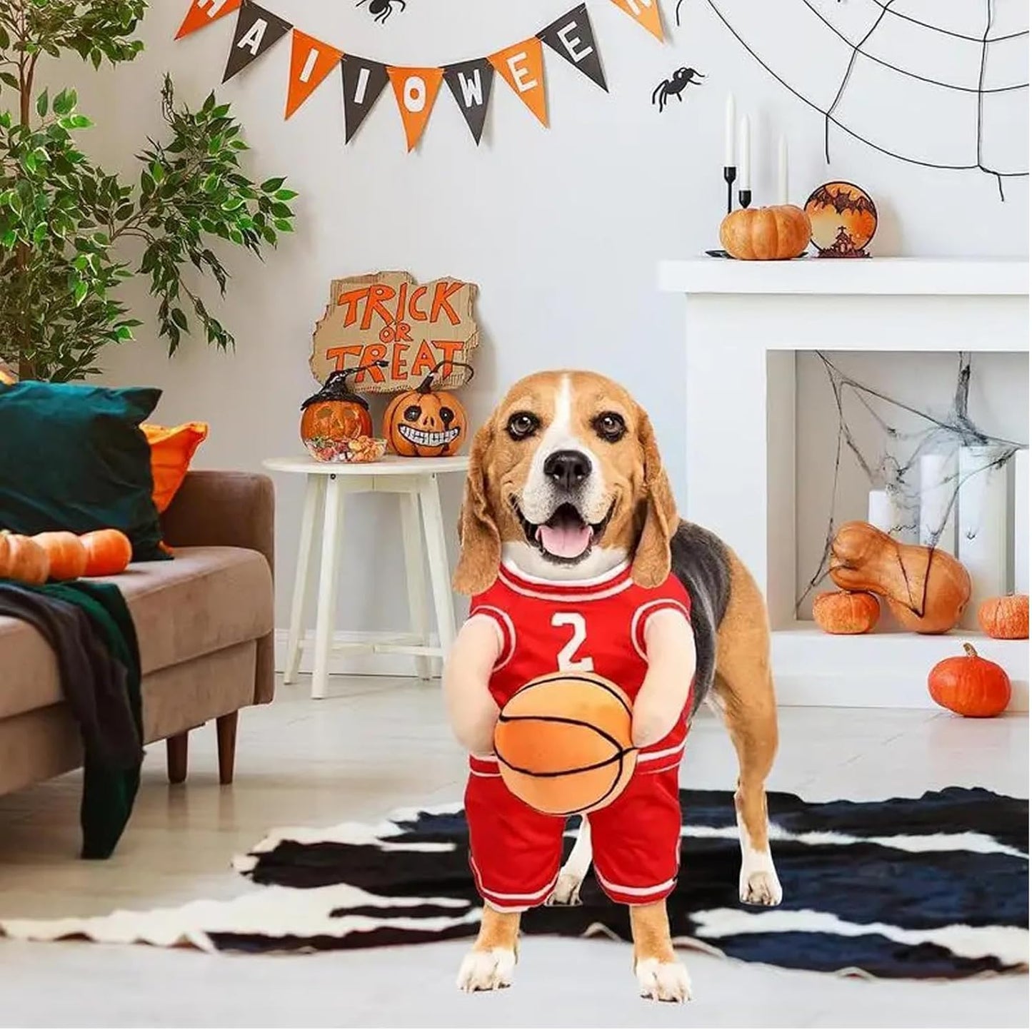Pet Costumes Dog Basketball Player Costume Halloween Costumes for Dogs Funny Dress up Sports Outfit Cosplay Clothes for Small Dog Costume