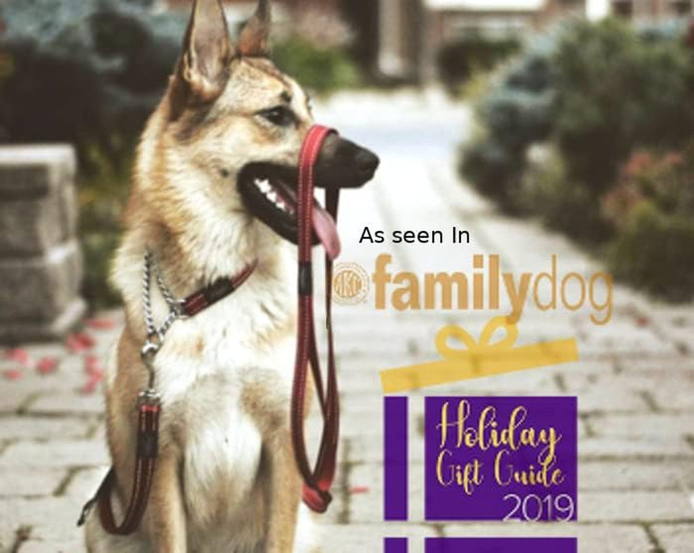 Reflective Nylon Choke Collar; Slip Show Obedience Training Gentle Choker for Extra Large Dogs, Purple