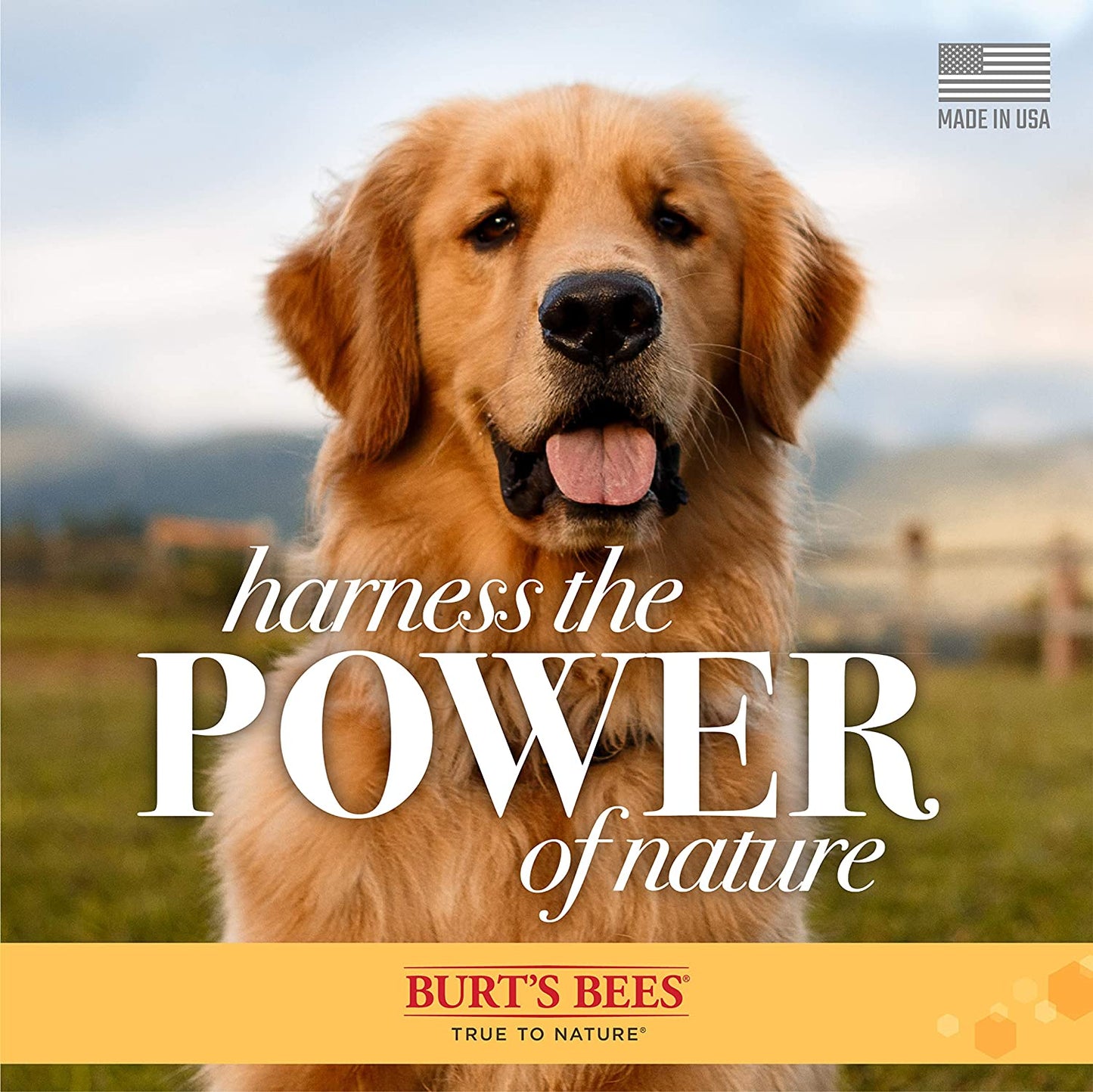 for Pets Multipurpose Dog Wipes with with Honey, 98% Natural Origin Formulas, Hypoallergenic Dog Wipes Cleaning, Dog Cleaning Wipes, Dog Wipes for Paws and Butt, 50Ct
