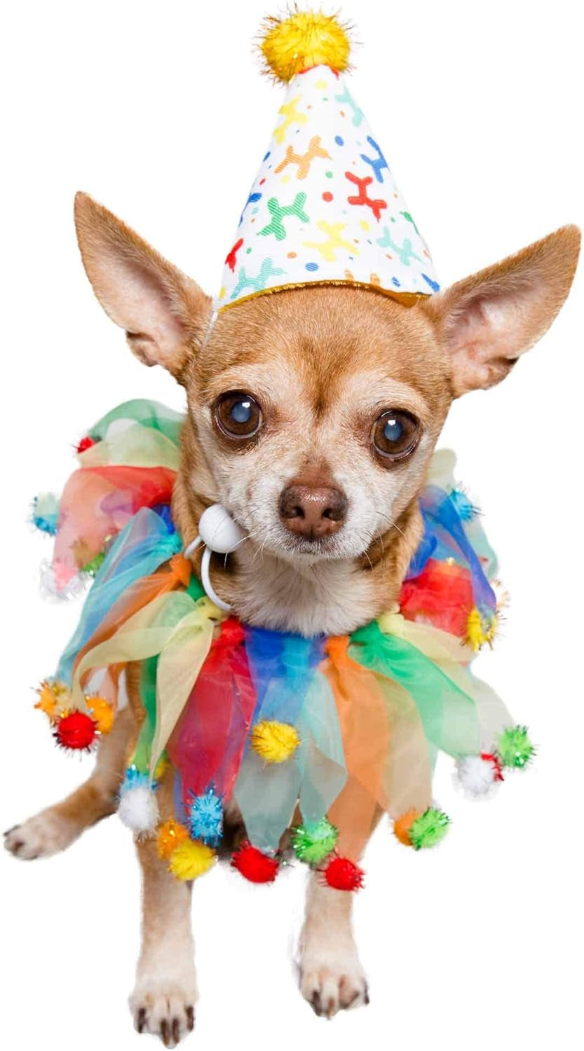 Dog Clown Costume Happy Birthday Hat & Collar Outfit | 1St Bday Party, National Cat Day, Photo Shoots & Celebrations | Doggie & Puppy Clothes | Ideal Gift for Small, Medium & Large Pets