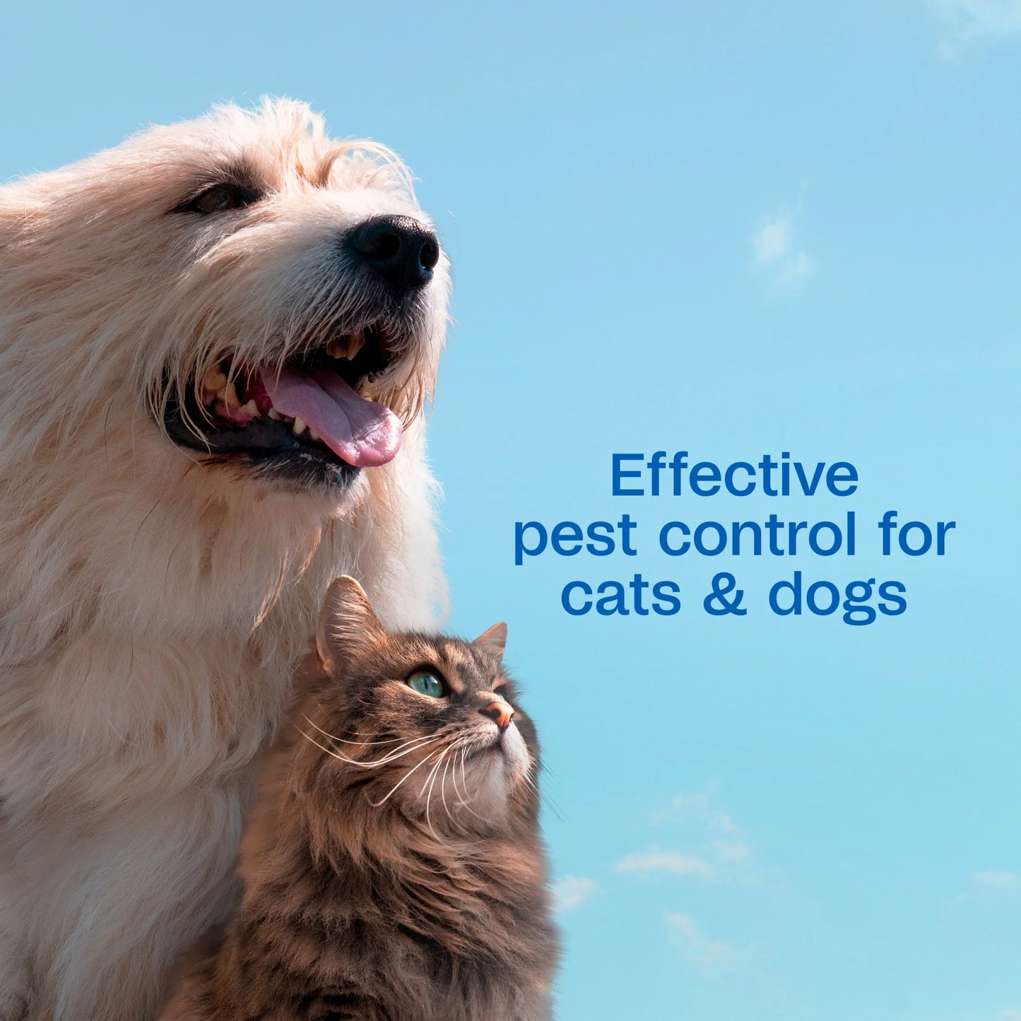 Flea & Tick Cleansing Shampoo for Dogs, Cats, 12 Ounces