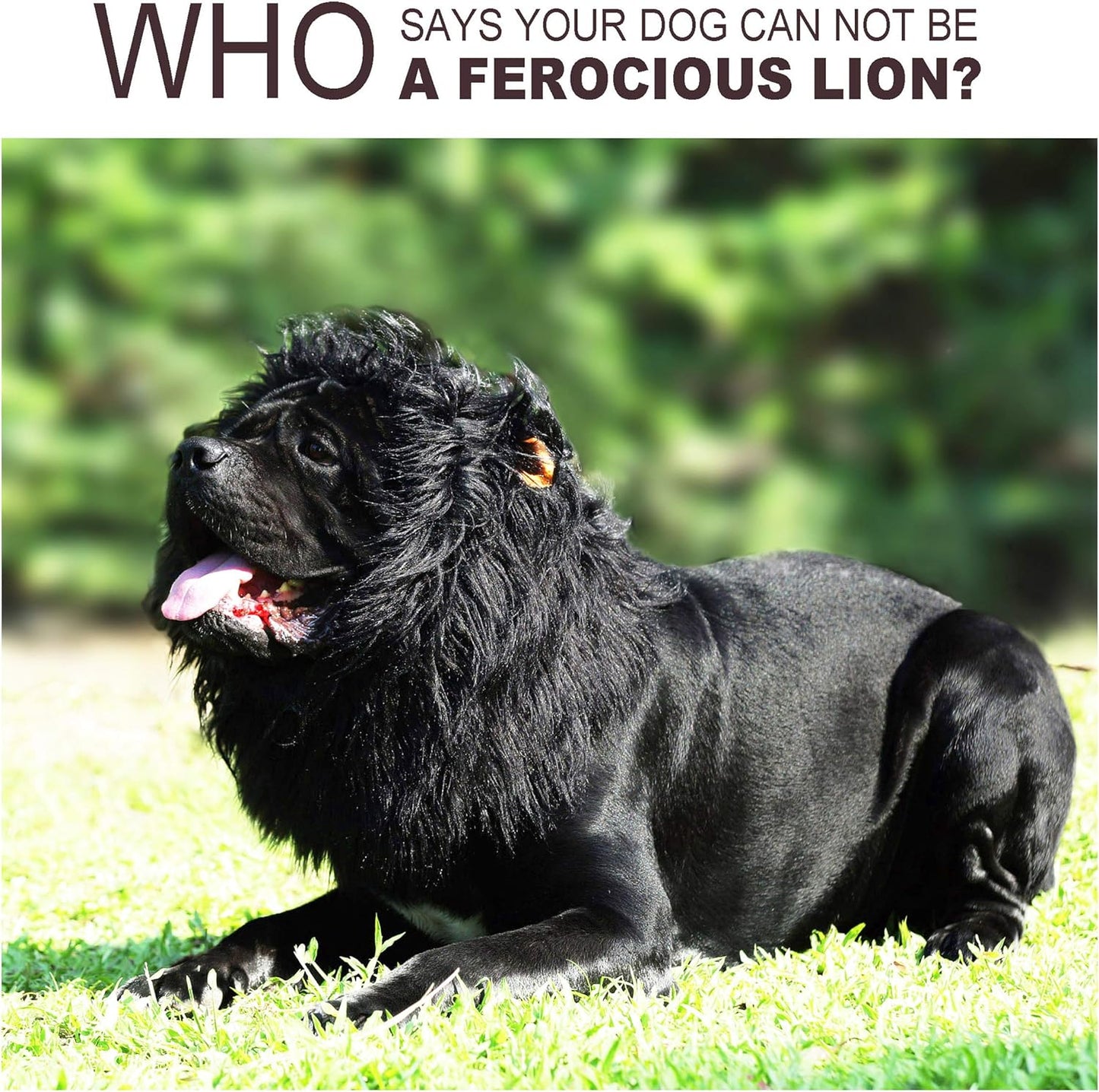 Lion Mane Wig for Dogs with Ears, Funny Pet Costumes for Halloween Christmas