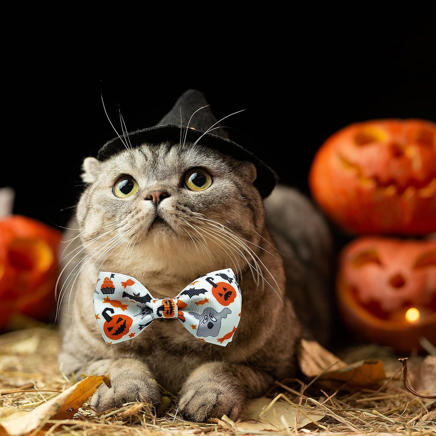 Halloween Cat Collar with Bell, Kitty Kitten Holiday Bow Tie Collar Breakaway 2 Pack for Girl and Boys Male Female