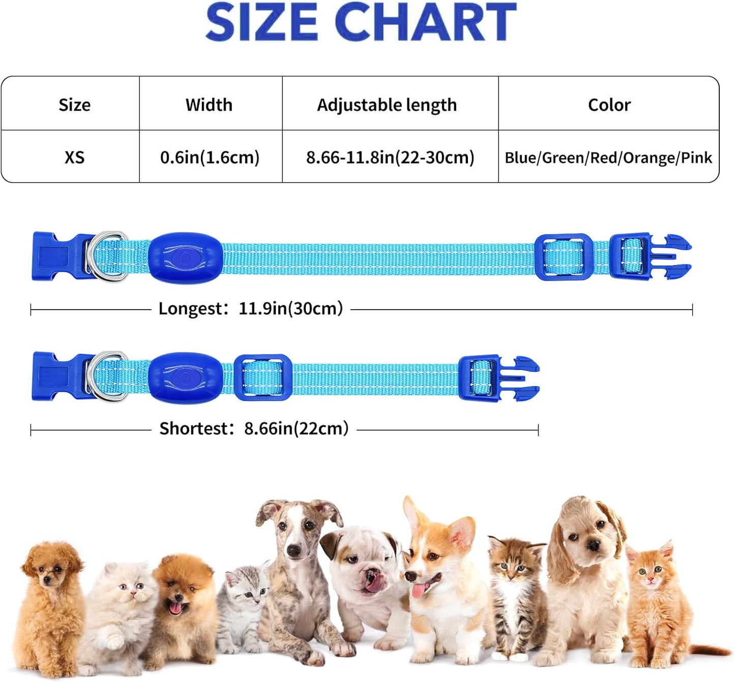 Light up Dog Collar for Small Dogs, Reflective LED Dog Collar Rechargeable Puppy Collar Glowing Cat Collars Safety Dog Lights for Night Walking (Royal Blue)