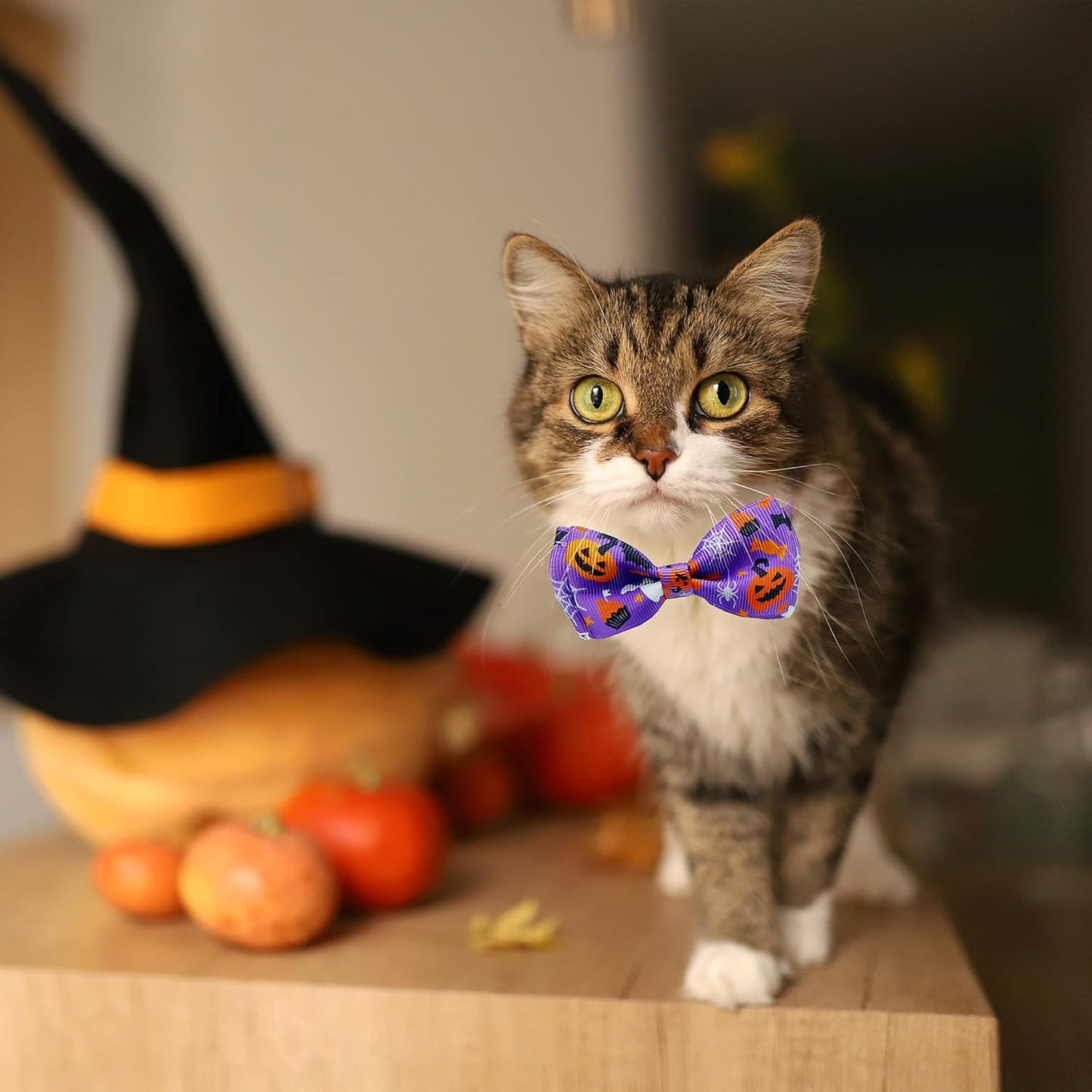 Halloween Cat Collar with Bell, Kitty Kitten Holiday Bow Tie Collar Breakaway 2 Pack for Girl and Boys Male Female