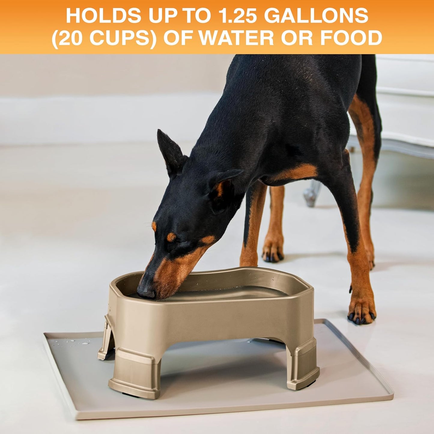 Large Water Bowl for Dogs, Raised Outdoor Dog Water Bowl (1.25 Gallon XL Capacity), Big Trough Style Food Dish for Indoors or Outside, No Spill Large Dog Bowls, Champagne