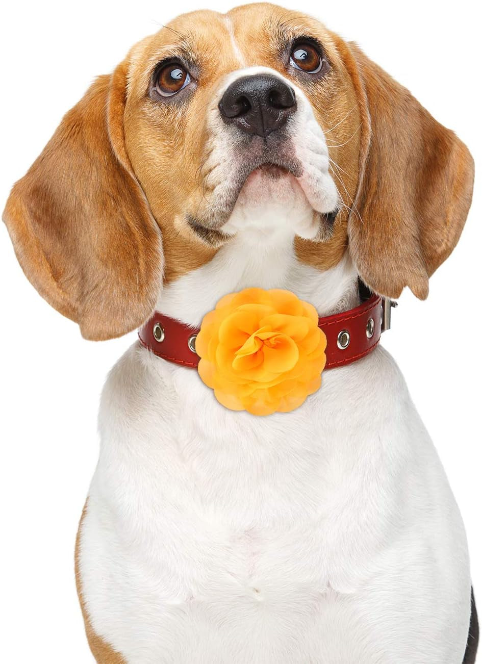 4 Pieces Dog Flower Bow Collar Multicolored Pet Bow Collar Dog Charms Flower Set for Puppy Cat Pet Grooming Accessories(Red, Bright Pink, Bright Yellow, Orange Pink)