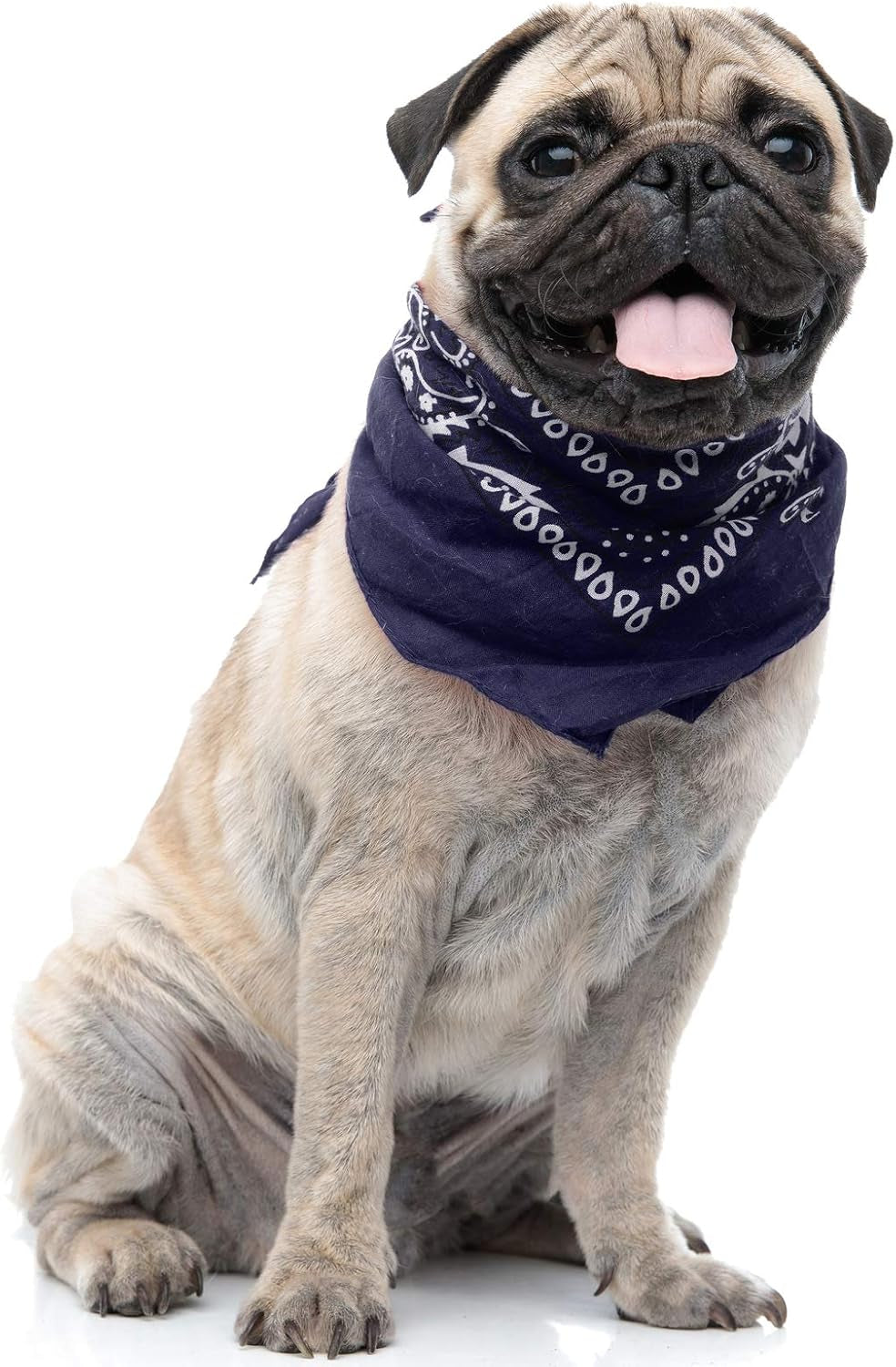 6 Paisley Polyester Dog & Cats Bandana Triangle Bibs - Washable & One Size (Mix