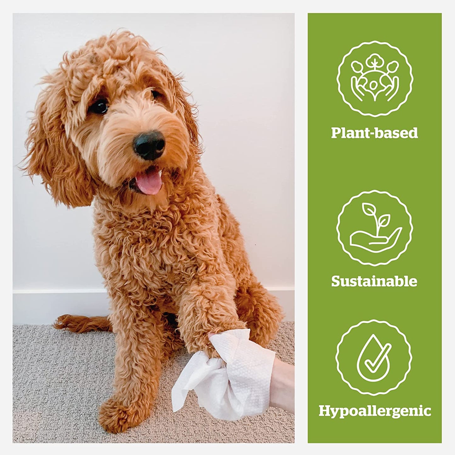 Pogi’S Dog Grooming Wipes – Hypoallergenic Pet Wipes for Paws, Body & Butt – Cleaning & Hydrating, Green Tea Scent, 100-Count
