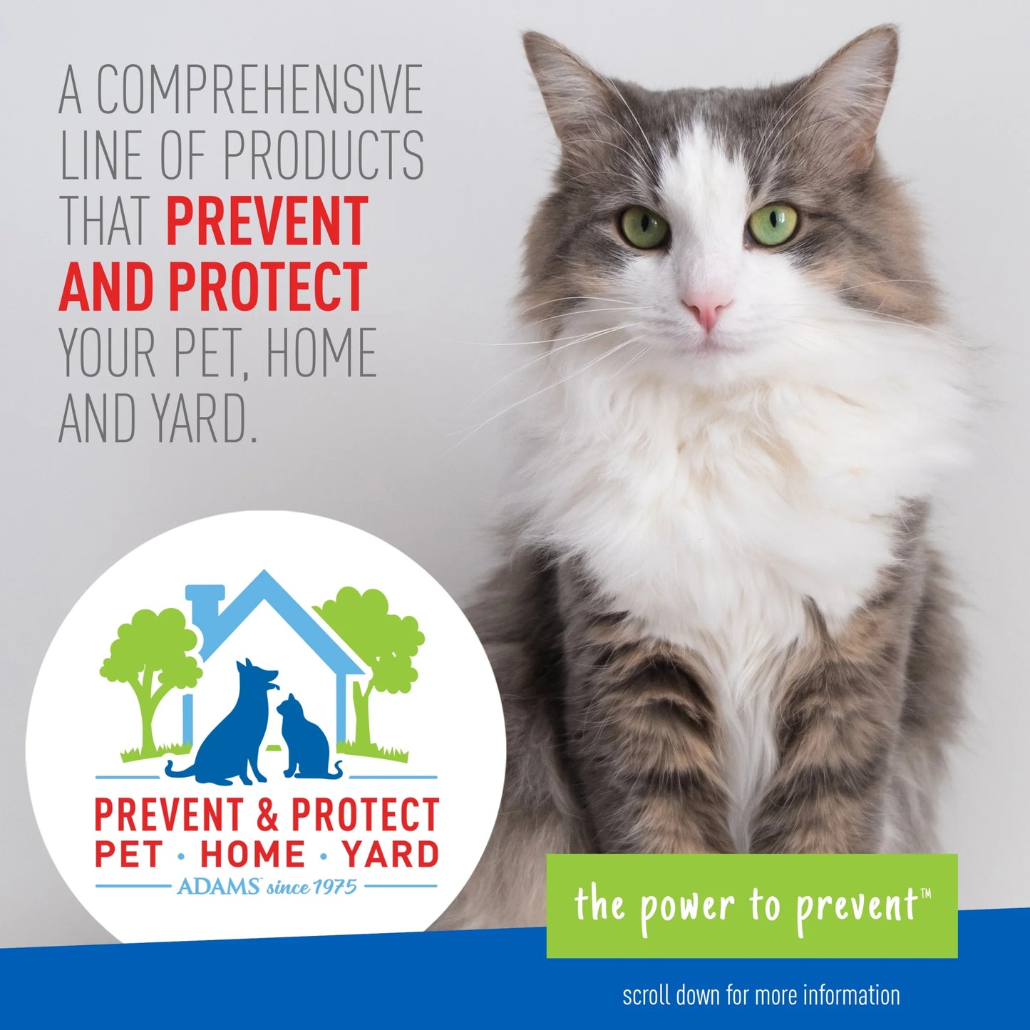 (4 Pack) Flea & Tick Carpet & Home Spray for Houses with Cats and Dogs, 16 Ounce Can