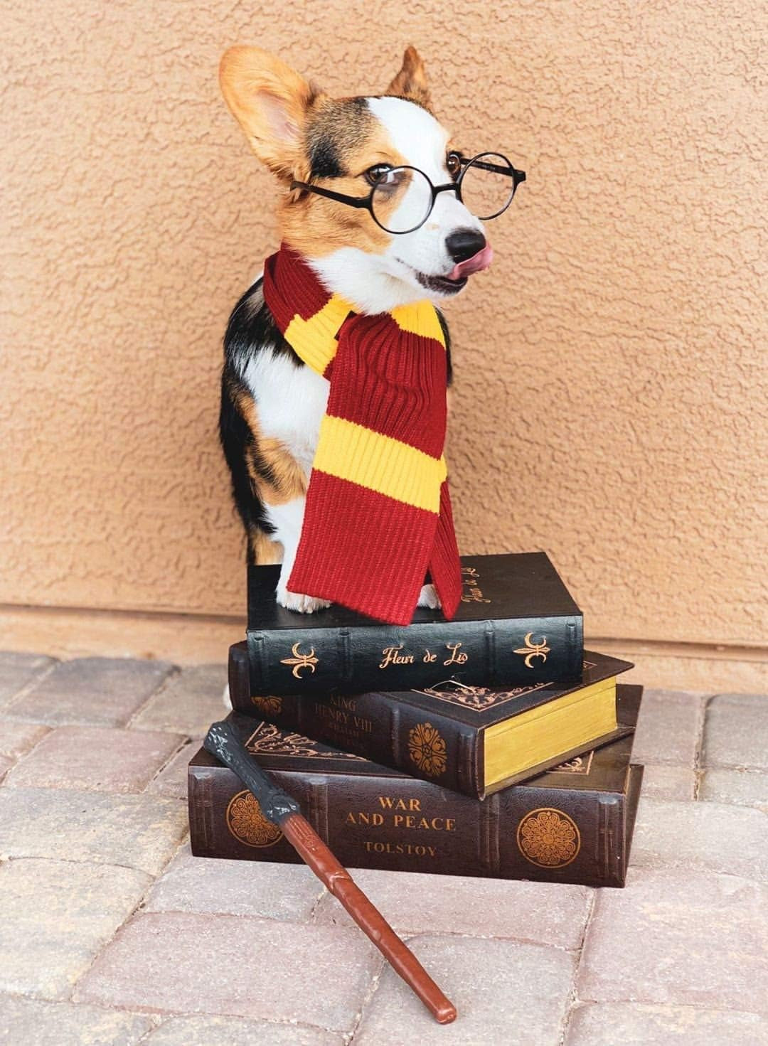Red Yellow Striped Scarf Dog Costume - X Large Medium Small French Lab Clothes Cosplay Halloween Costumes, M, Red