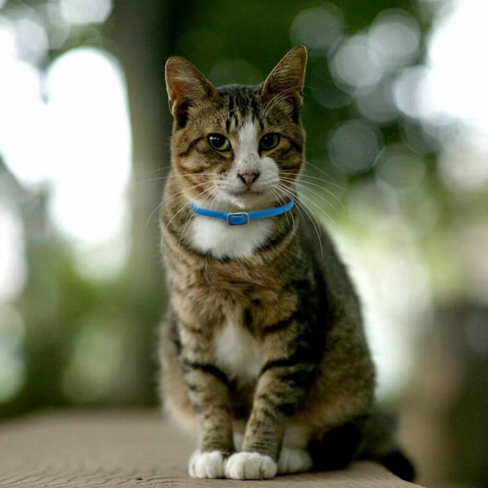 Flea Collar for Dogs Long Term Flea Collar for Cats Tick Collar Natural Pet Tick Advanced Dog
