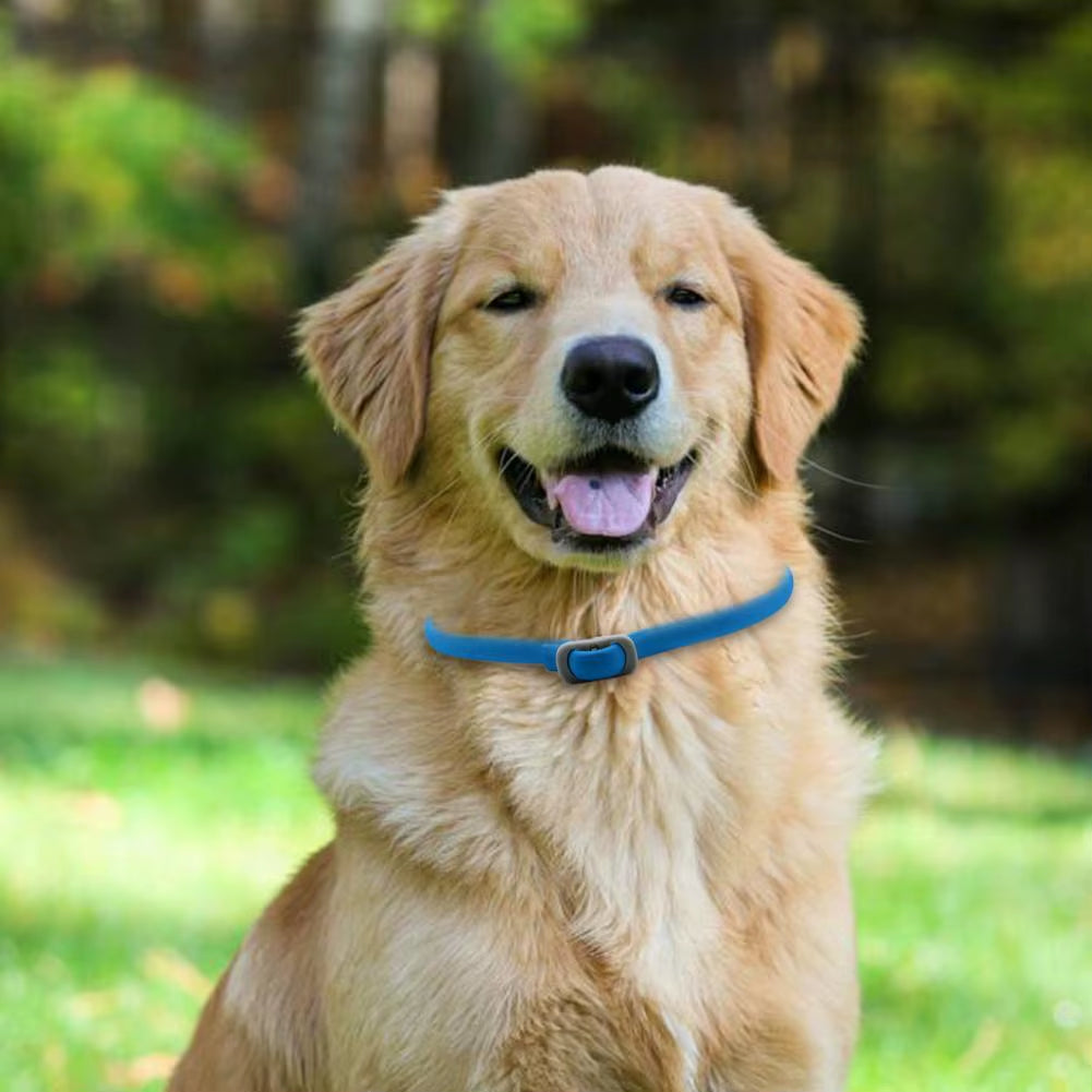 Flea Collar for Dogs Long Term Flea Collar for Cats Tick Collar Natural Pet Tick Advanced Dog