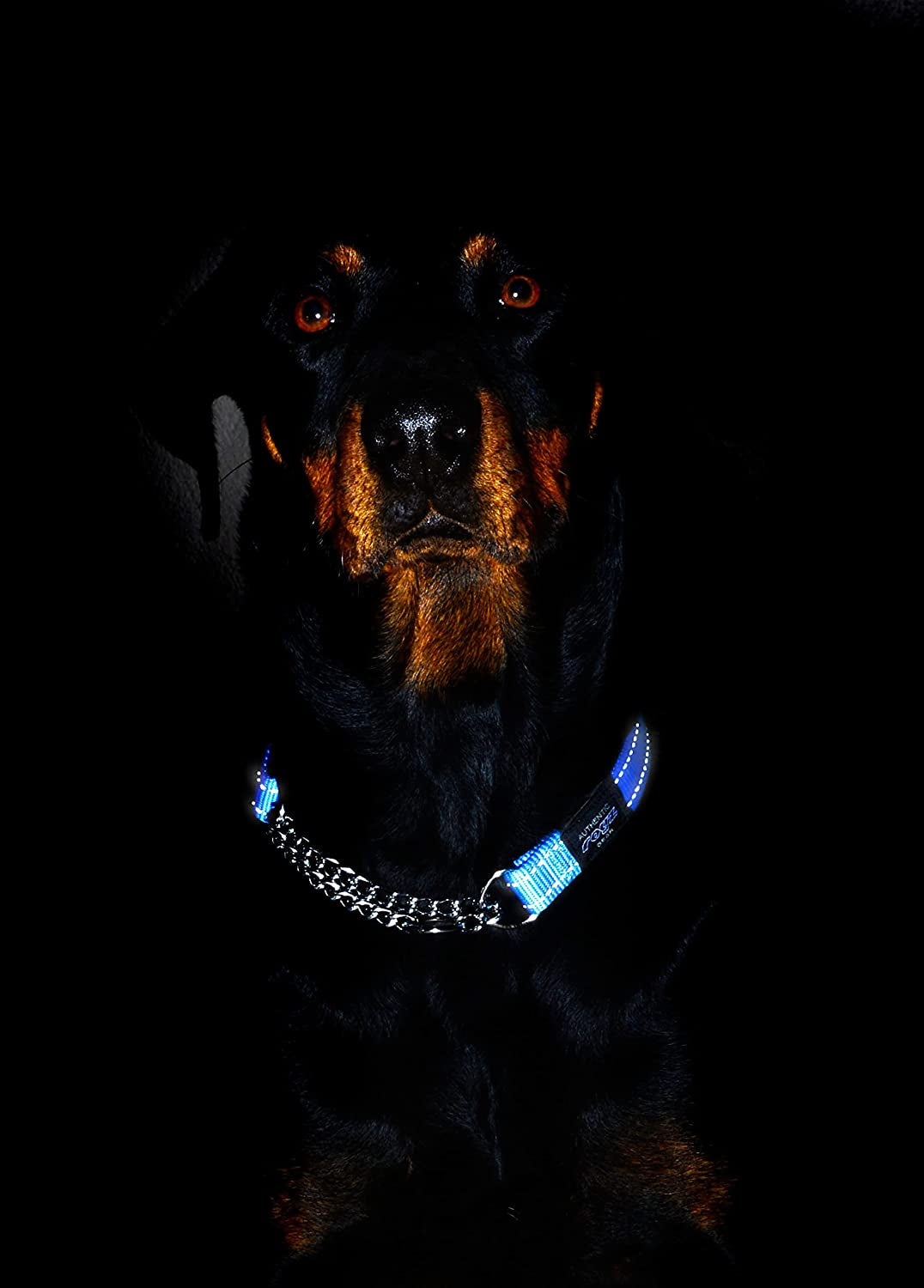 Reflective Nylon Choke Collar; Slip Show Obedience Training Gentle Choker for Extra Large Dogs, Purple