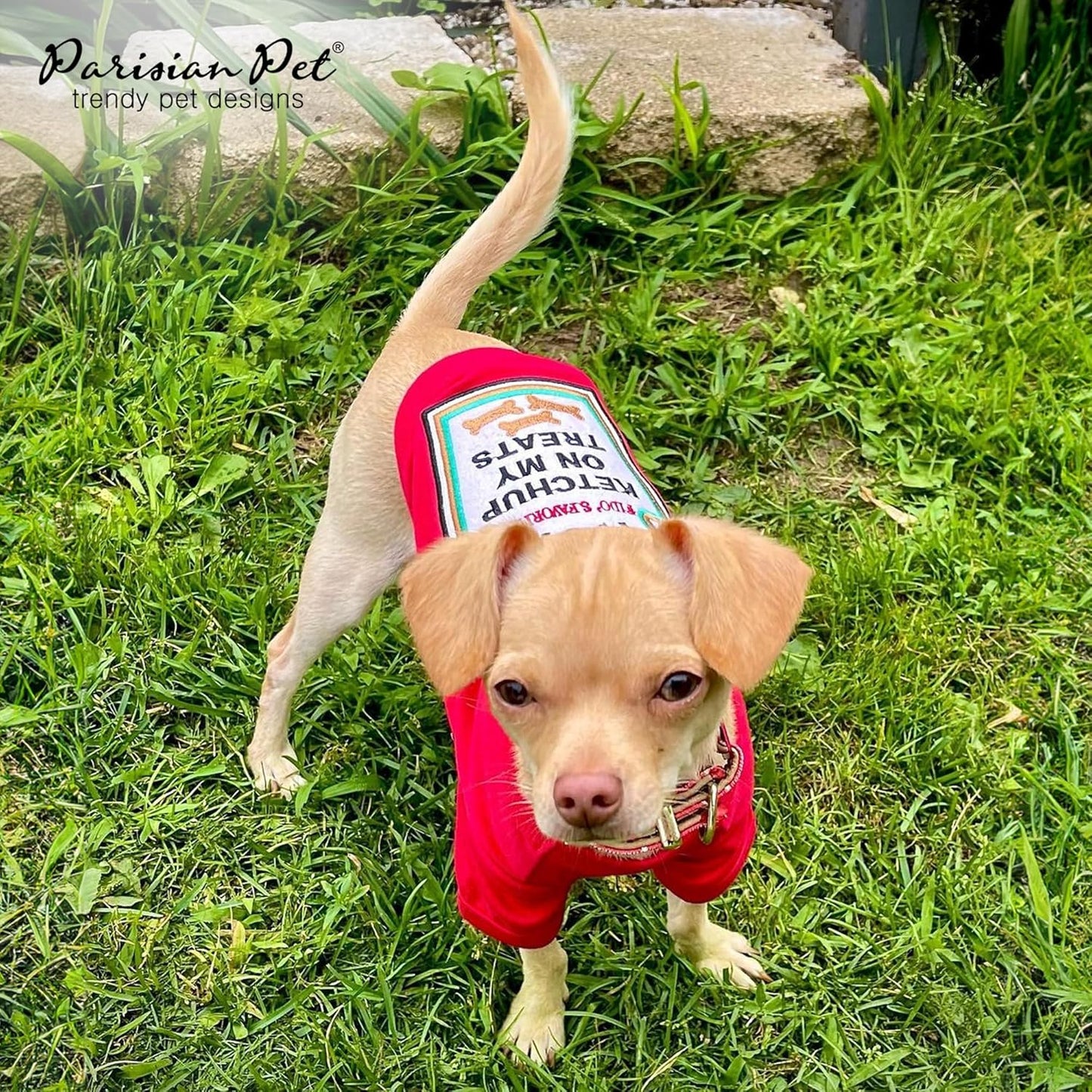Dog Shirt - Embroidered “I Put Ketchup on My Treats“ - 100% Cotton and Polyester Dog Clothes - Sleeved, Lightweight Costume for Dogs - Red Shirts for Small Dogs - Pet Costumes - S