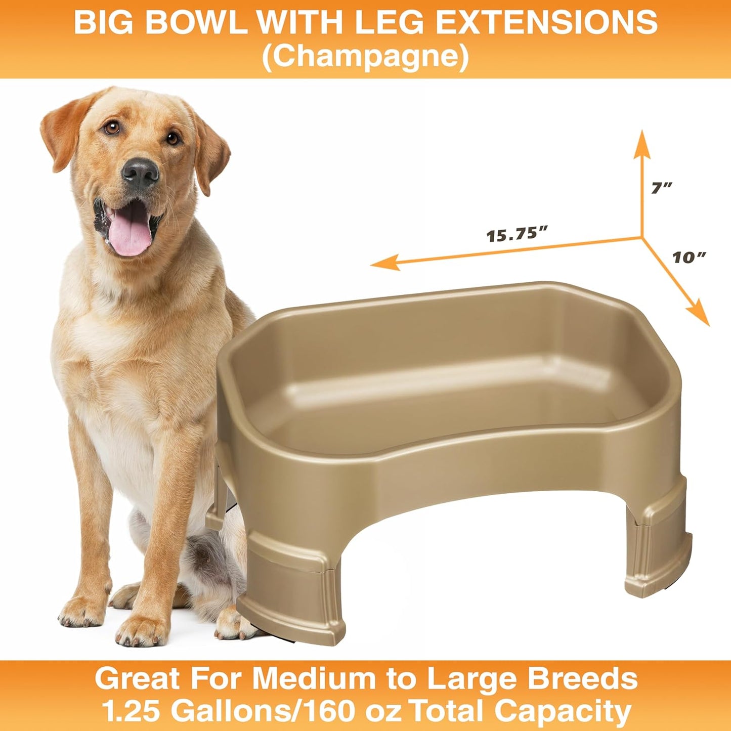 Large Water Bowl for Dogs, Raised Outdoor Dog Water Bowl (1.25 Gallon XL Capacity), Big Trough Style Food Dish for Indoors or Outside, No Spill Large Dog Bowls, Champagne