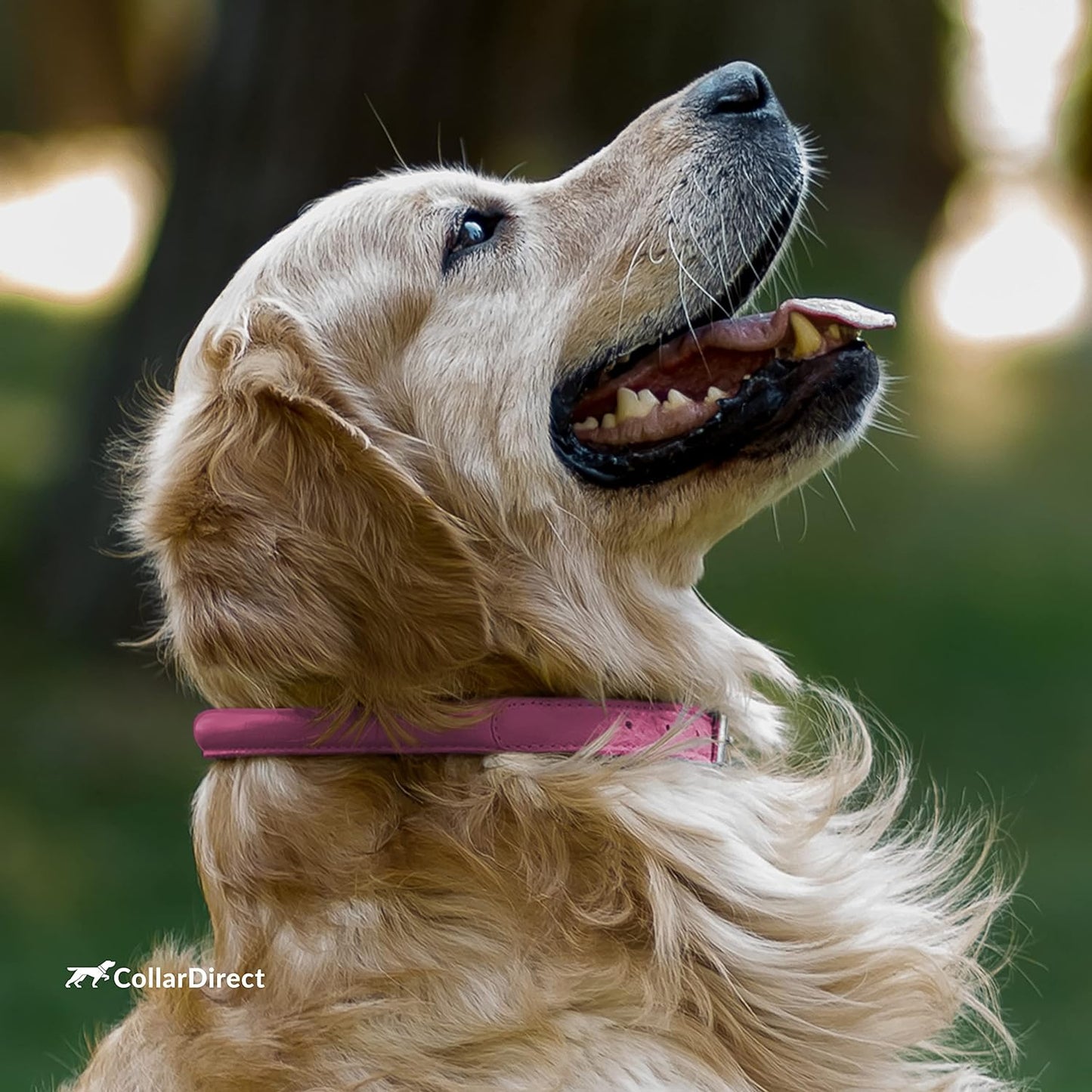 Rolled Leather Dog Collar, Soft Padded round Puppy Collar, Handmade Genuine Leather Collar Dog Small Large Cat Collars 13 Colors (13-16 Inch, Pink Textured)