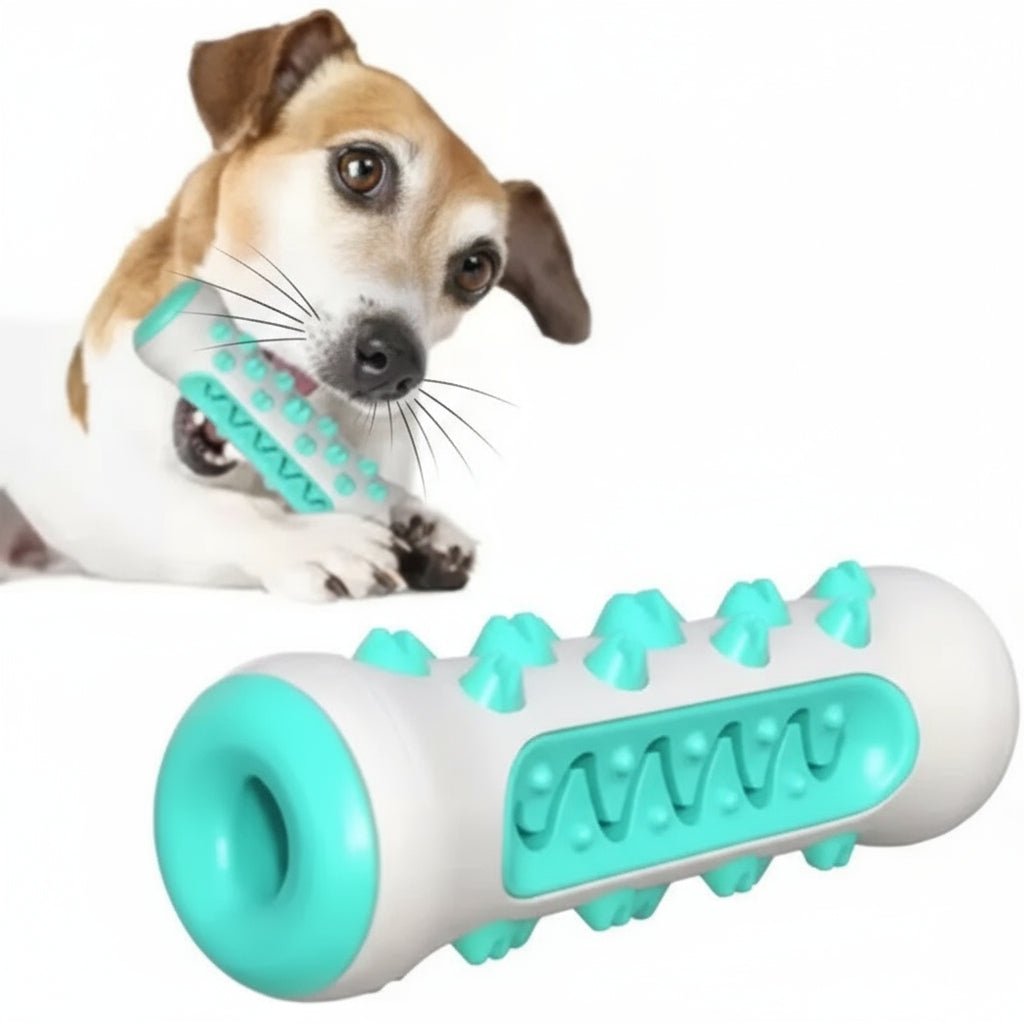 Durable Dog Toy – Fun, Safe & Long-Lasting Playtime. Haven Crystals Pet Stores.
