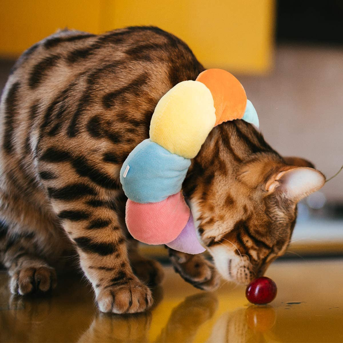 Cat Small Dog Recovery Collar, Cute Neck Cone after Surgery, Adjustable Pet E Collar, Wound Healing Protective Cone Surgery Recovery Elizabethan Collars for Small Pet (S(Within 4Lb), Colorful)