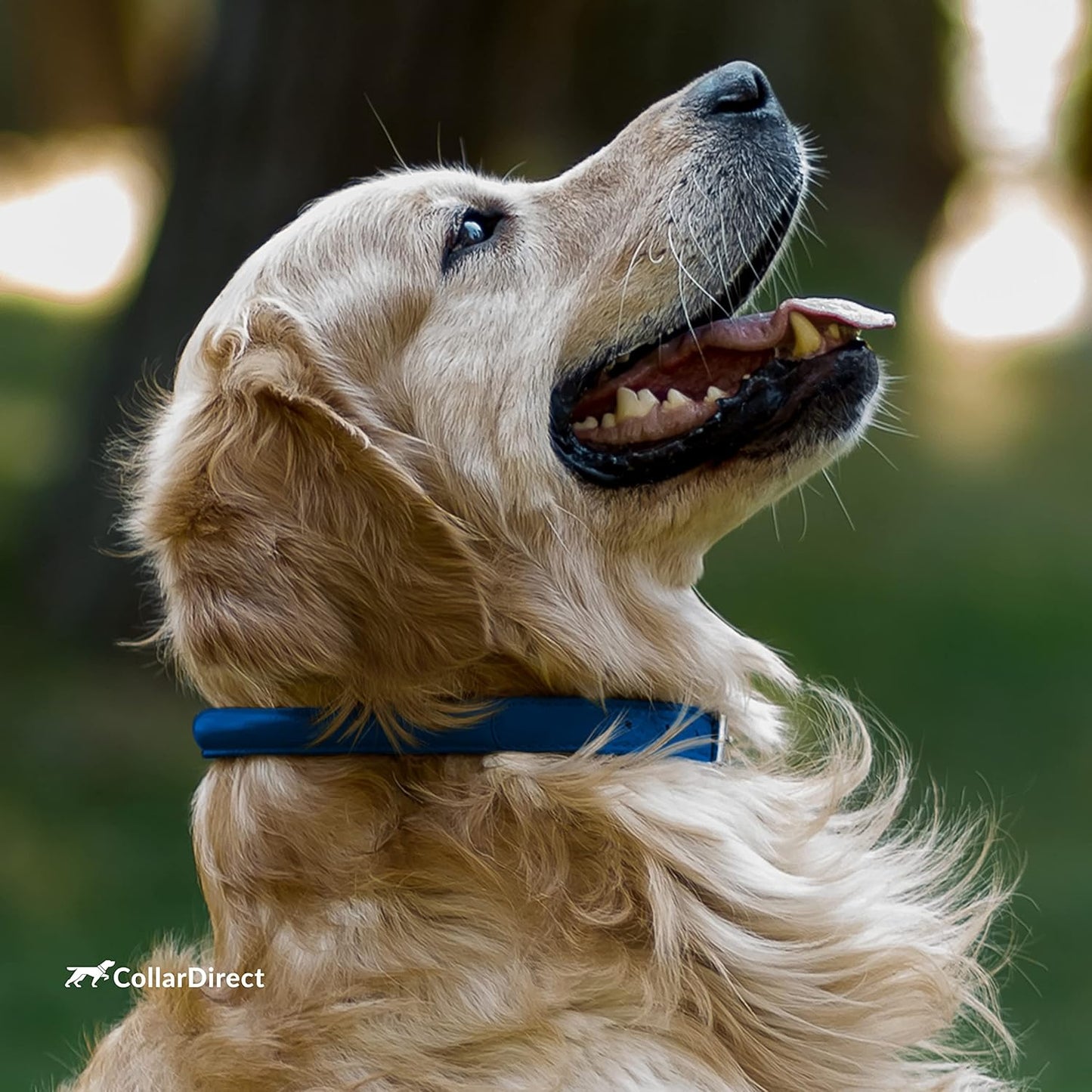 Rolled Leather Dog Collar, Soft Padded round Puppy Collar, Handmade Genuine Leather Collar Dog Small Large Cat Collars 13 Colors (13-16 Inch, Deep Blue Textured)