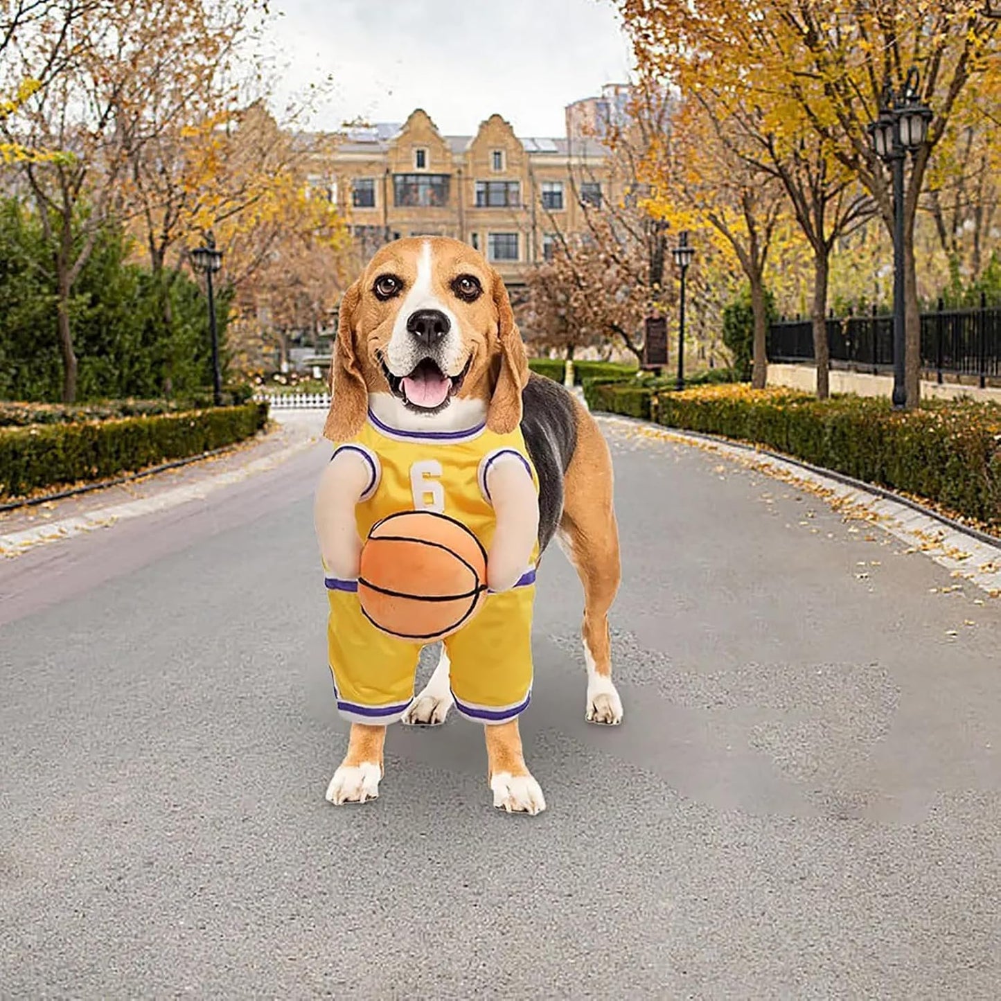 Pet Costumes Dog Basketball Player Costume Halloween Costumes for Dogs Funny Dress up Sports Outfit Cosplay Clothes for Small Dog Costume