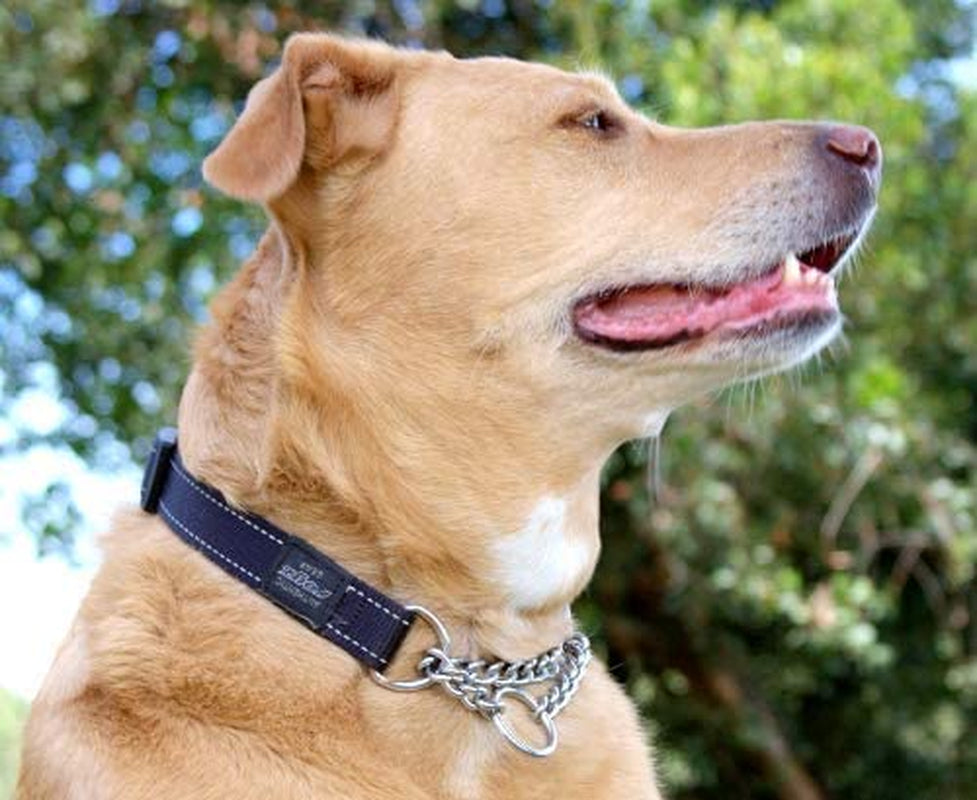 Reflective Nylon Choke Collar; Slip Show Obedience Training Gentle Choker for Extra Large Dogs, Purple