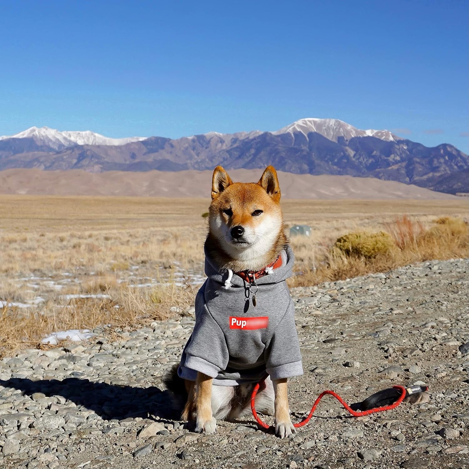 Pup Dog Hoodie, Cat Hoodies - Stylish Streetwear Sweatshirt, Cotton Pet Clothing for Dog Cat Puppy Small Medium Large (5XL) - Gray