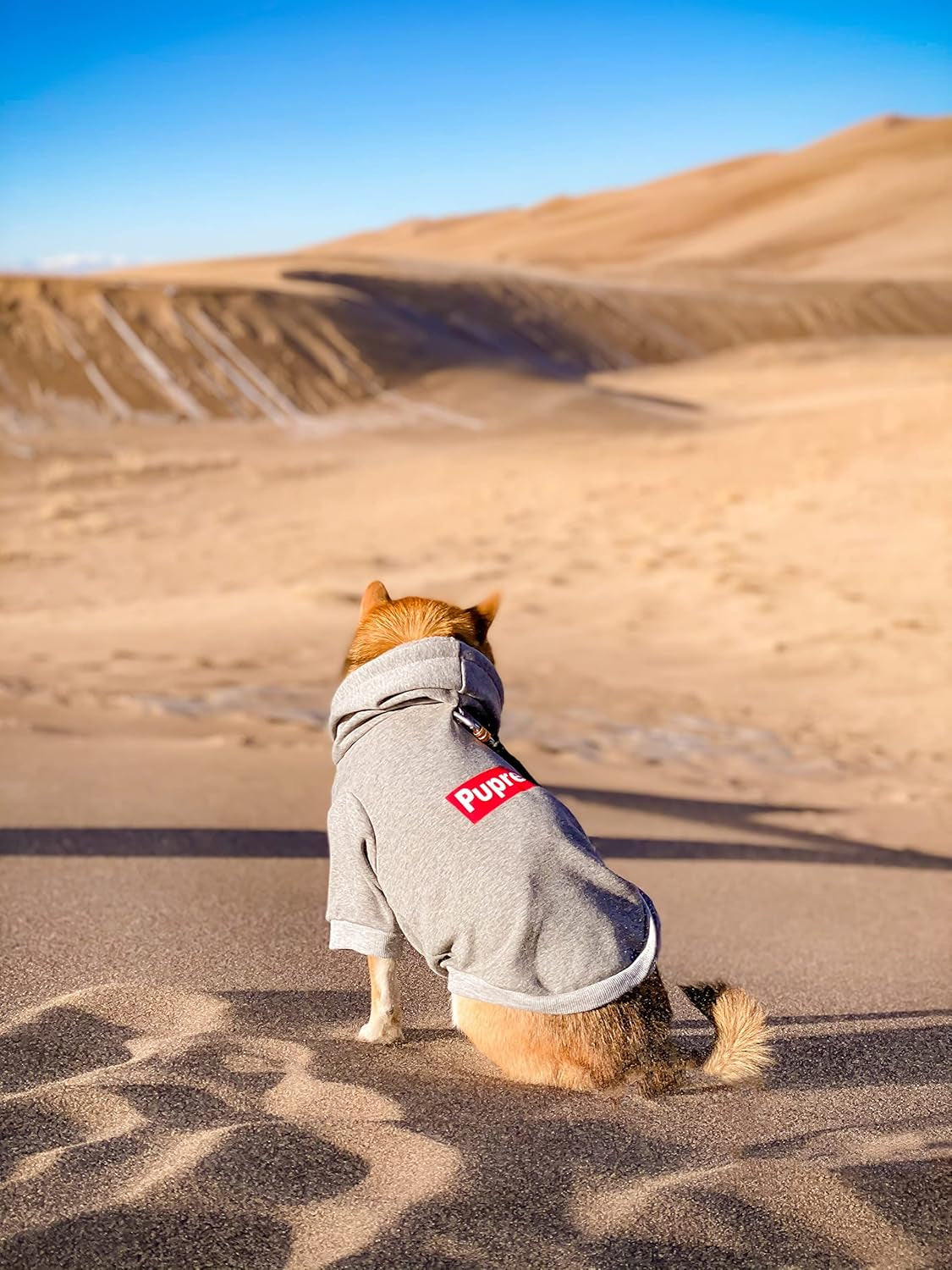 Pup Dog Hoodie, Cat Hoodies - Stylish Streetwear Sweatshirt, Cotton Pet Clothing for Dog Cat Puppy Small Medium Large (5XL) - Gray