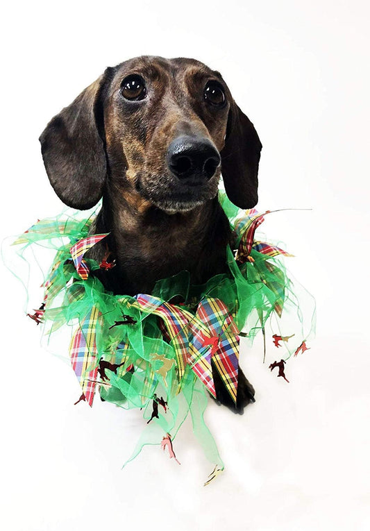 Plaid and Green Decorative Dog Collar (Small)