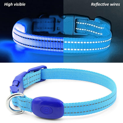 Light up Dog Collar for Small Dogs, Reflective LED Dog Collar Rechargeable Puppy Collar Glowing Cat Collars Safety Dog Lights for Night Walking (Royal Blue)