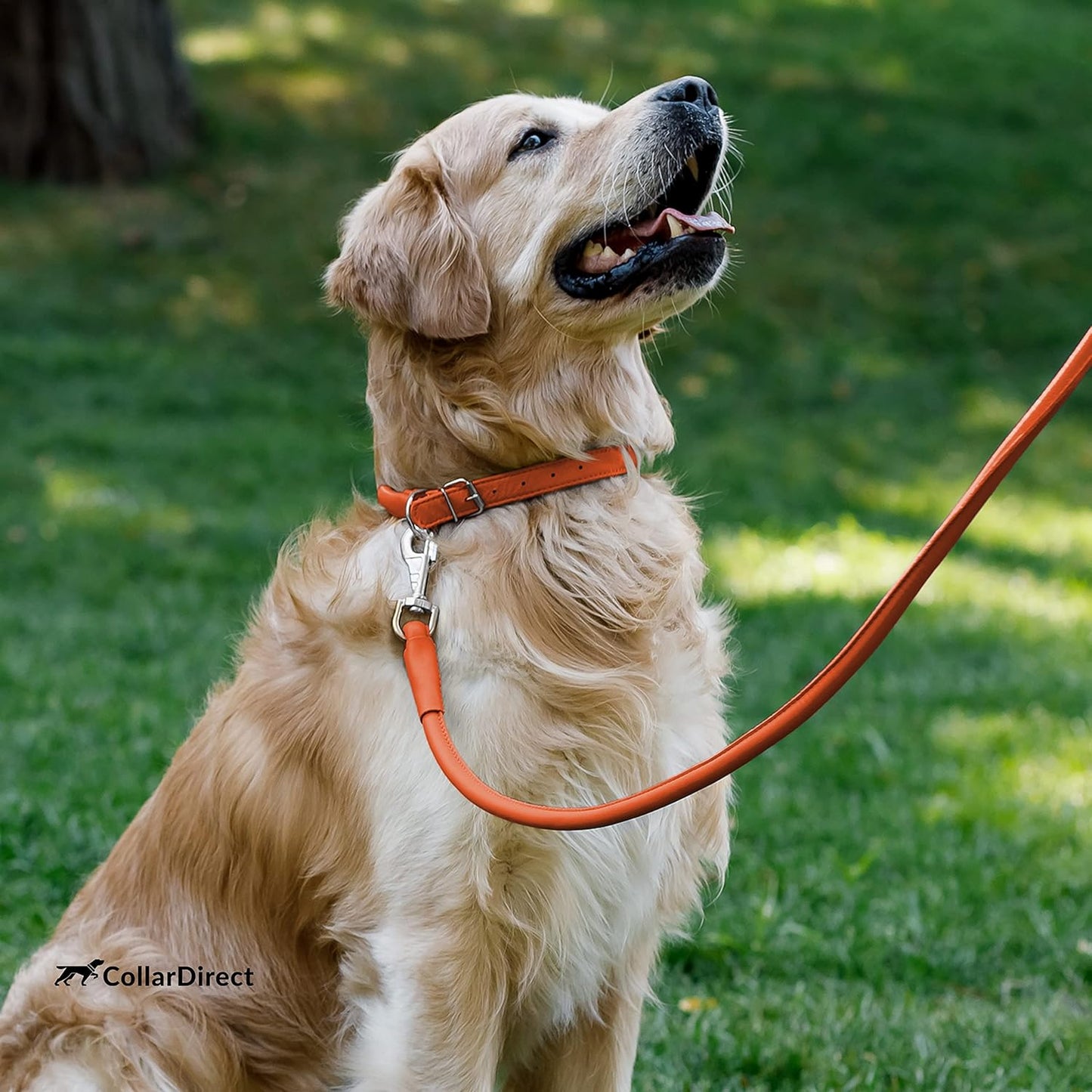 Rolled Leather Dog Collar, Soft Padded round Puppy Collar, Handmade Genuine Leather Collar Dog Small Large Cat Collars 13 Colors (8-11 Inch, Orange Textured)