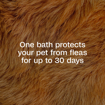 Flea & Tick Cleansing Shampoo for Dogs, Cats, 12 Ounces