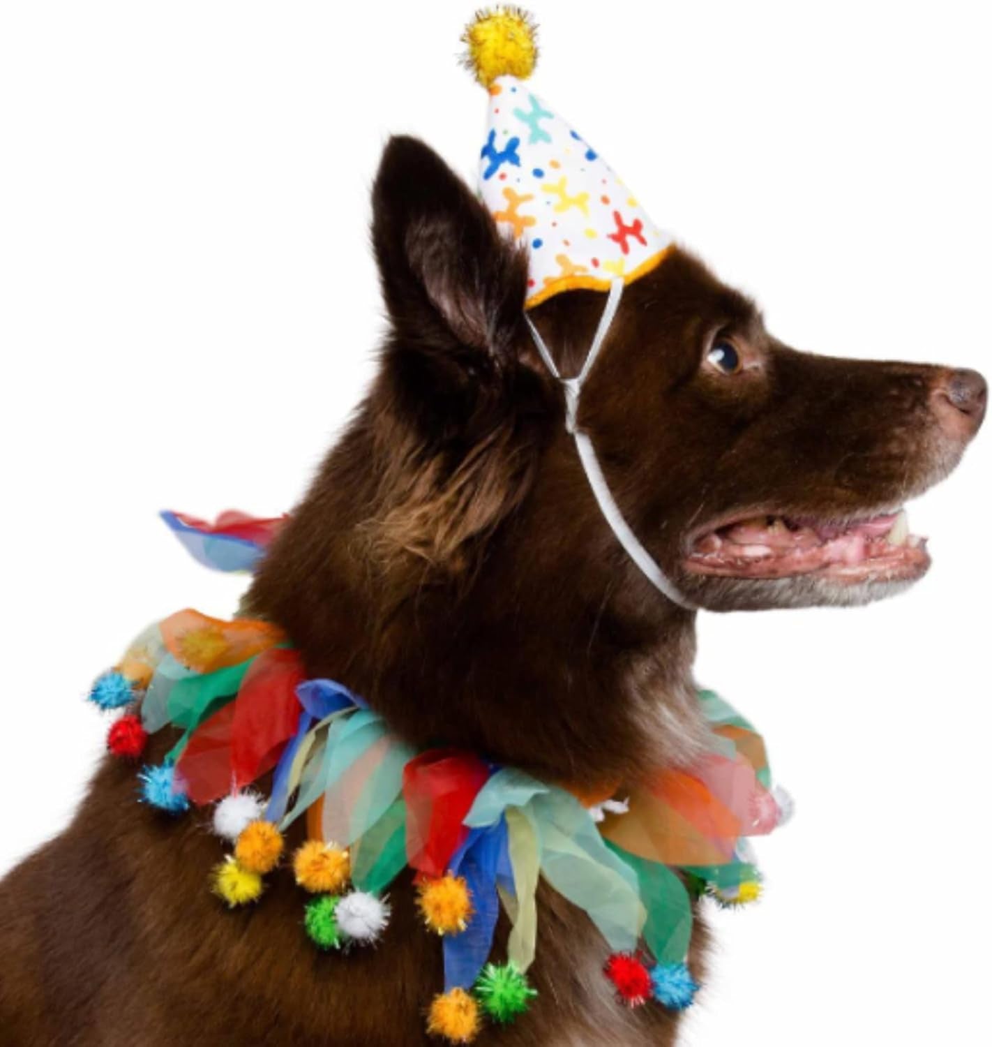 Dog Clown Costume Happy Birthday Hat & Collar Outfit | 1St Bday Party, National Cat Day, Photo Shoots & Celebrations | Doggie & Puppy Clothes | Ideal Gift for Small, Medium & Large Pets