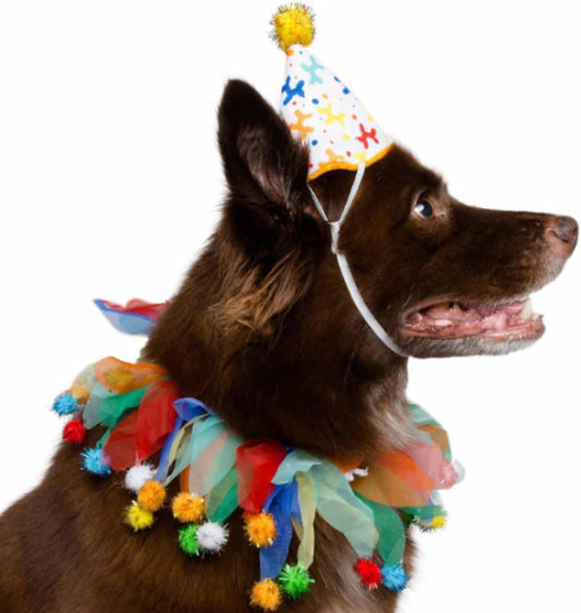Dog Clown Costume Happy Birthday Hat & Collar Outfit | 1St Bday Party, National Cat Day, Photo Shoots & Celebrations | Doggie & Puppy Clothes | Ideal Gift for Small, Medium & Large Pets