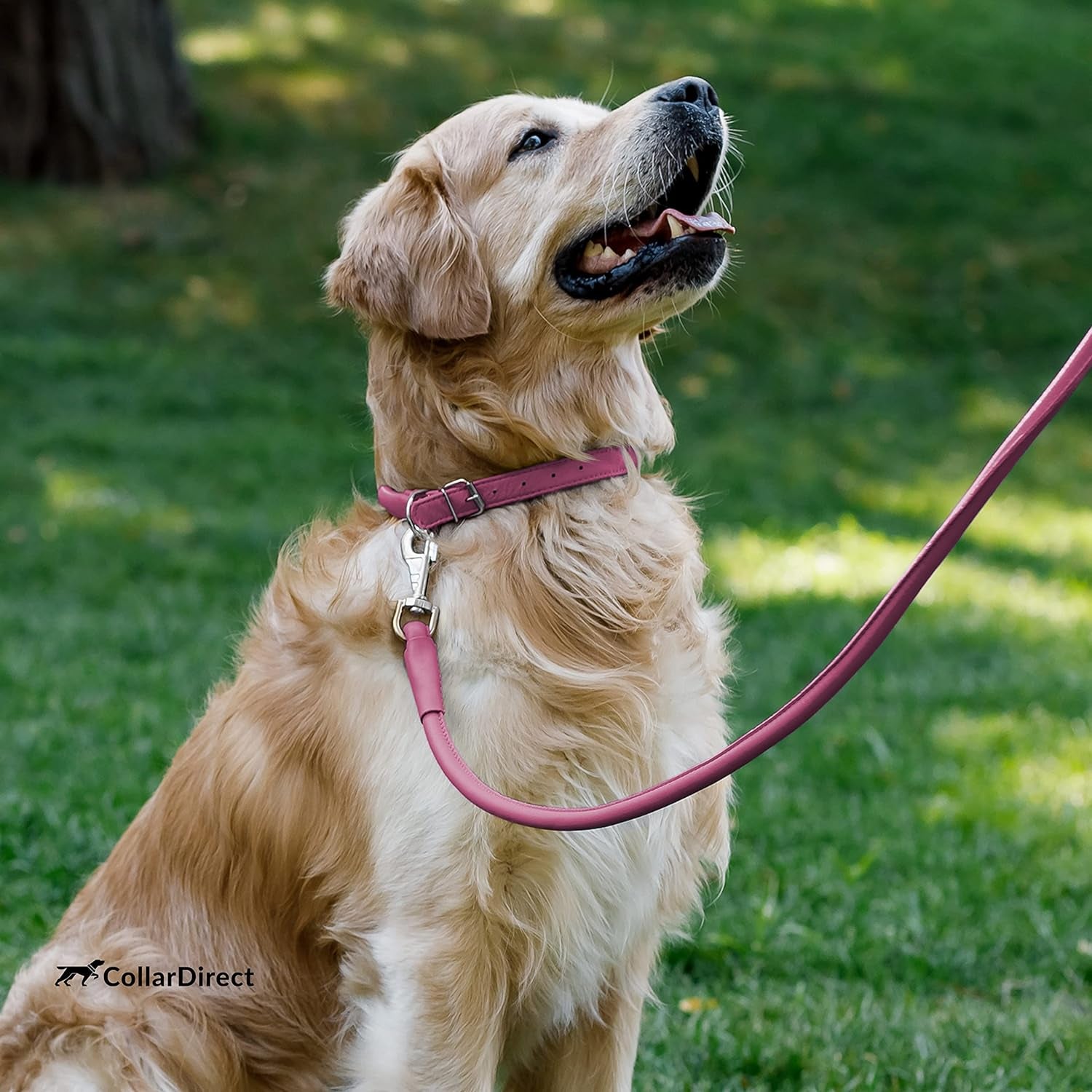 Rolled Leather Dog Collar, Soft Padded round Puppy Collar, Handmade Genuine Leather Collar Dog Small Large Cat Collars 13 Colors (13-16 Inch, Pink Textured)