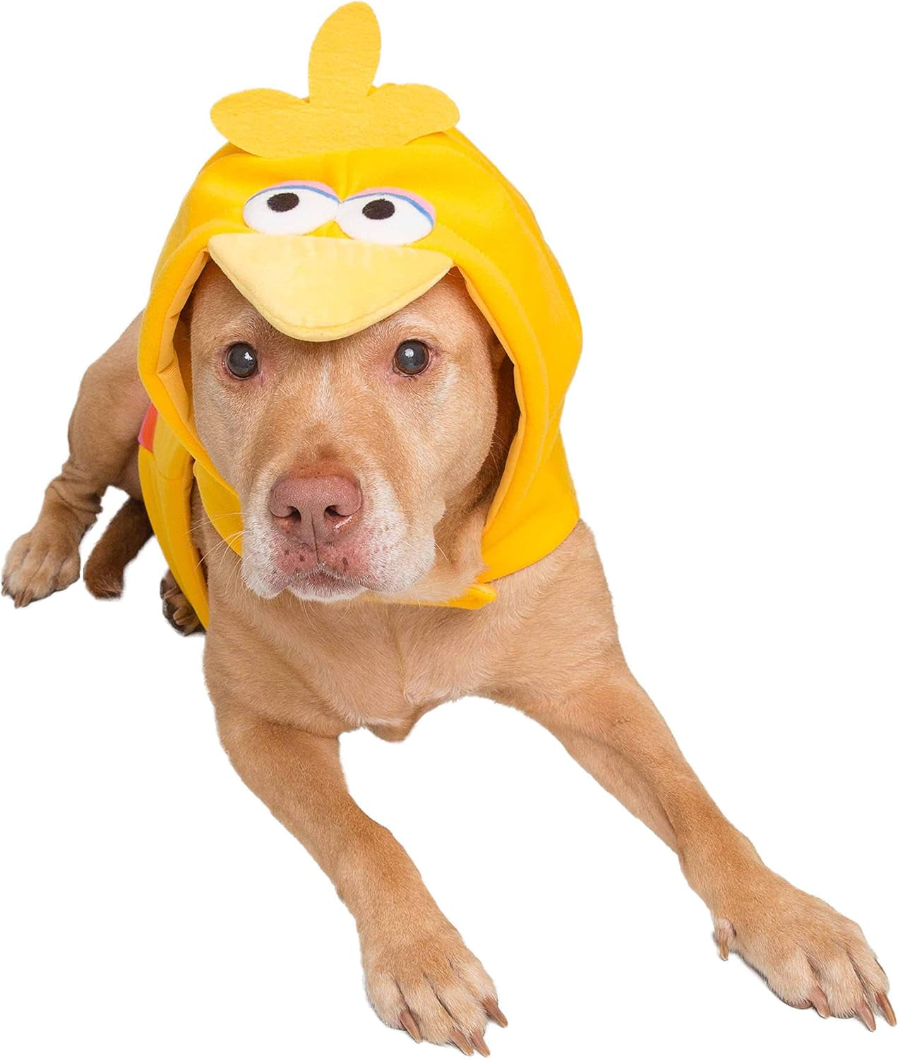 Pet Krewe Sesame Street Big Bird Hoodie Dog & Cat Costume Medium - Perfect for Halloween, Christmas Holiday, Parties, Photoshoots, Gifts for Dog & Cat Lovers