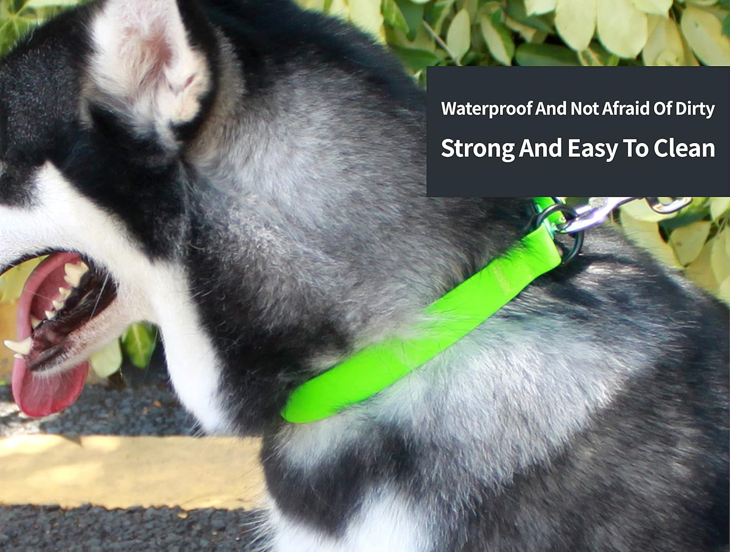 Waterproof Dog Collars,Rubber Dog Collars Anti-Odor,Durable,Adjustable Dog Collars for Small,Medium, Large Dogs,Easy Clean Collars with Buckle and D Ring