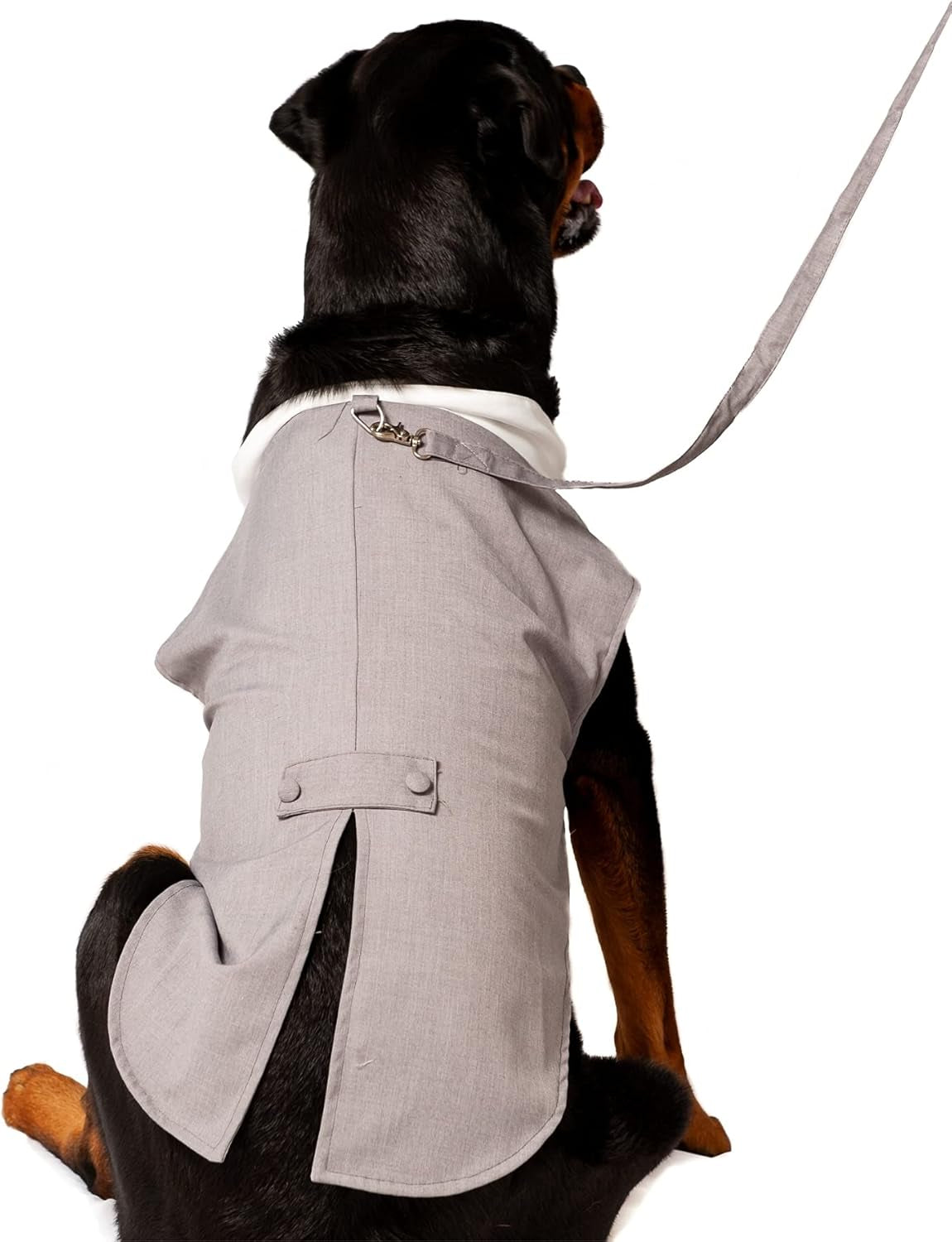 Dog Tuxedo Wedding Suit- Gray Top Hat & Leash (X-Large)