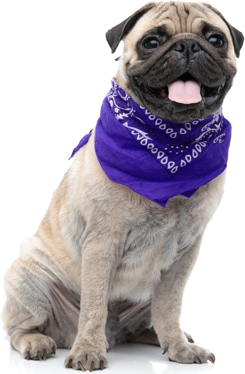 6 Paisley Polyester Dog & Cats Bandana Triangle Bibs - Washable & One Size (Mix
