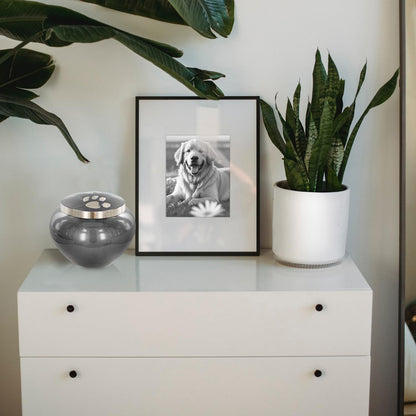 Small Pet Urn for Dogs and Cats Ashes, Paws Print Grey Cremation Urns for Pets up to 25 Lbs