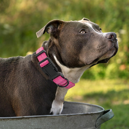 Dog Collar | Nylon Reflective Dog Collars | Light Weight Puppy Collars | Pink Dog Collars for Small Dogs (Solid Pink, X-Small)