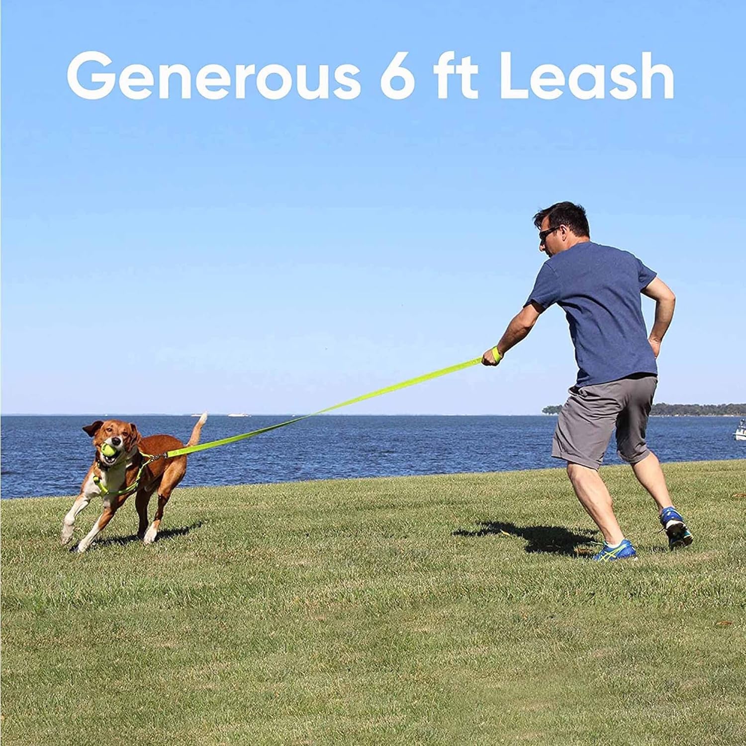 6 FT Solid Color Leash - Comfortable Handle Dog Training Leash 6 Ft Medium/Large Pink