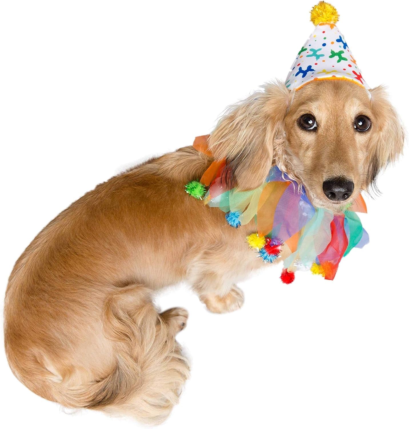 Dog Clown Costume Happy Birthday Hat & Collar Outfit | 1St Bday Party, National Cat Day, Photo Shoots & Celebrations | Doggie & Puppy Clothes | Ideal Gift for Small, Medium & Large Pets