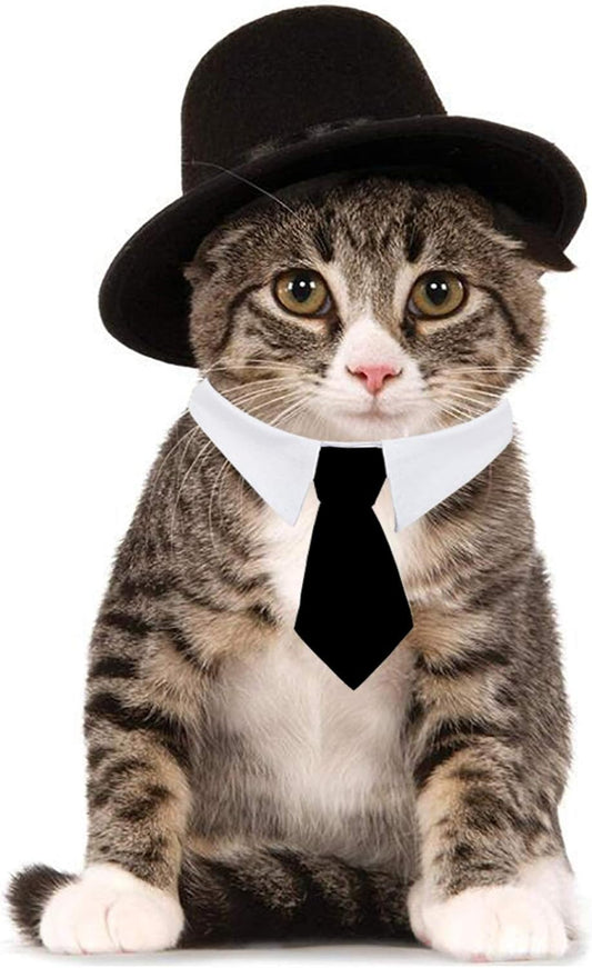 Pet Bow Tie Adjustable Formal Collar Neck Tie and Costume Company Top Hat for Cats Dogs Puppy Pets, 2 Pieces