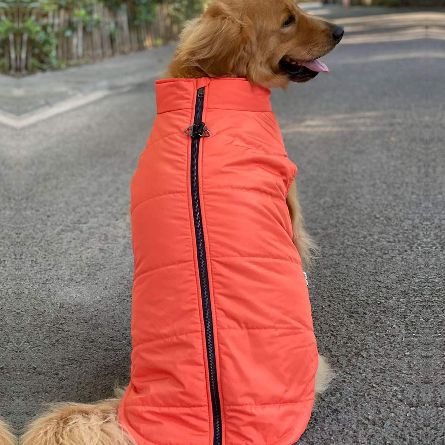 Orange M Dog Winter Coat, Waterproof, Ultra Warm, Windproof, Zippered Jacket, Breathable, Soft Cotton Lining for Small, Medium, Large Dogs